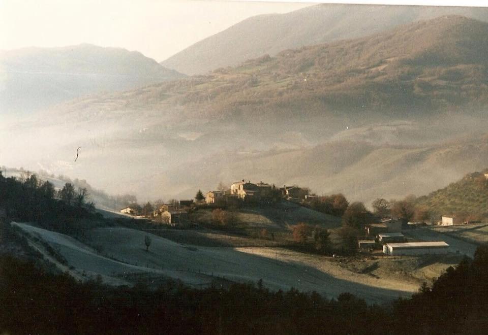 IL BUSSETO