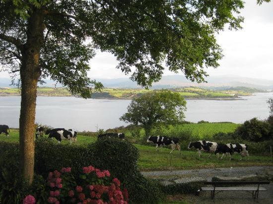 Dromcloc House view 4