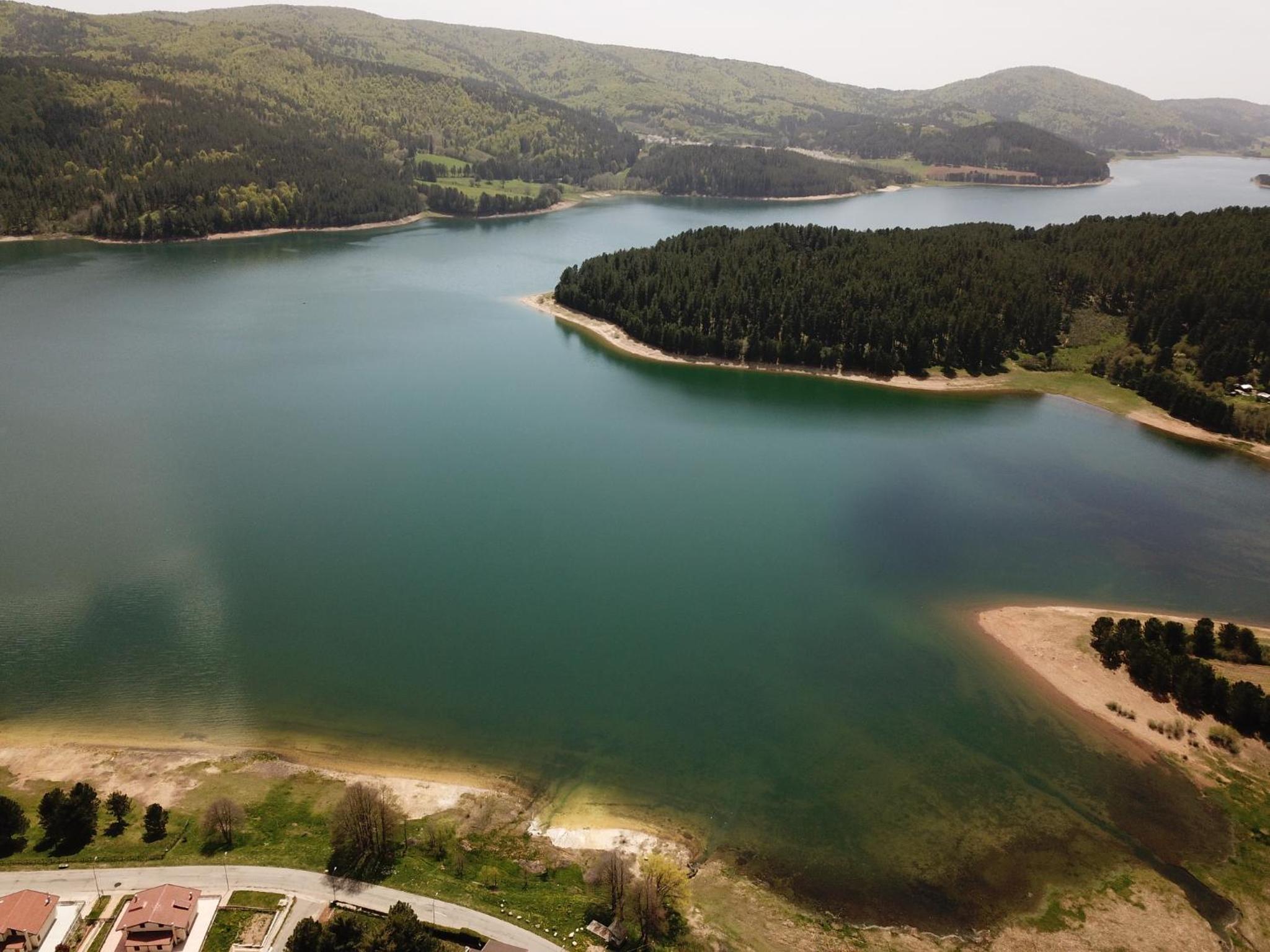 Tra il bosco e il lago view 2