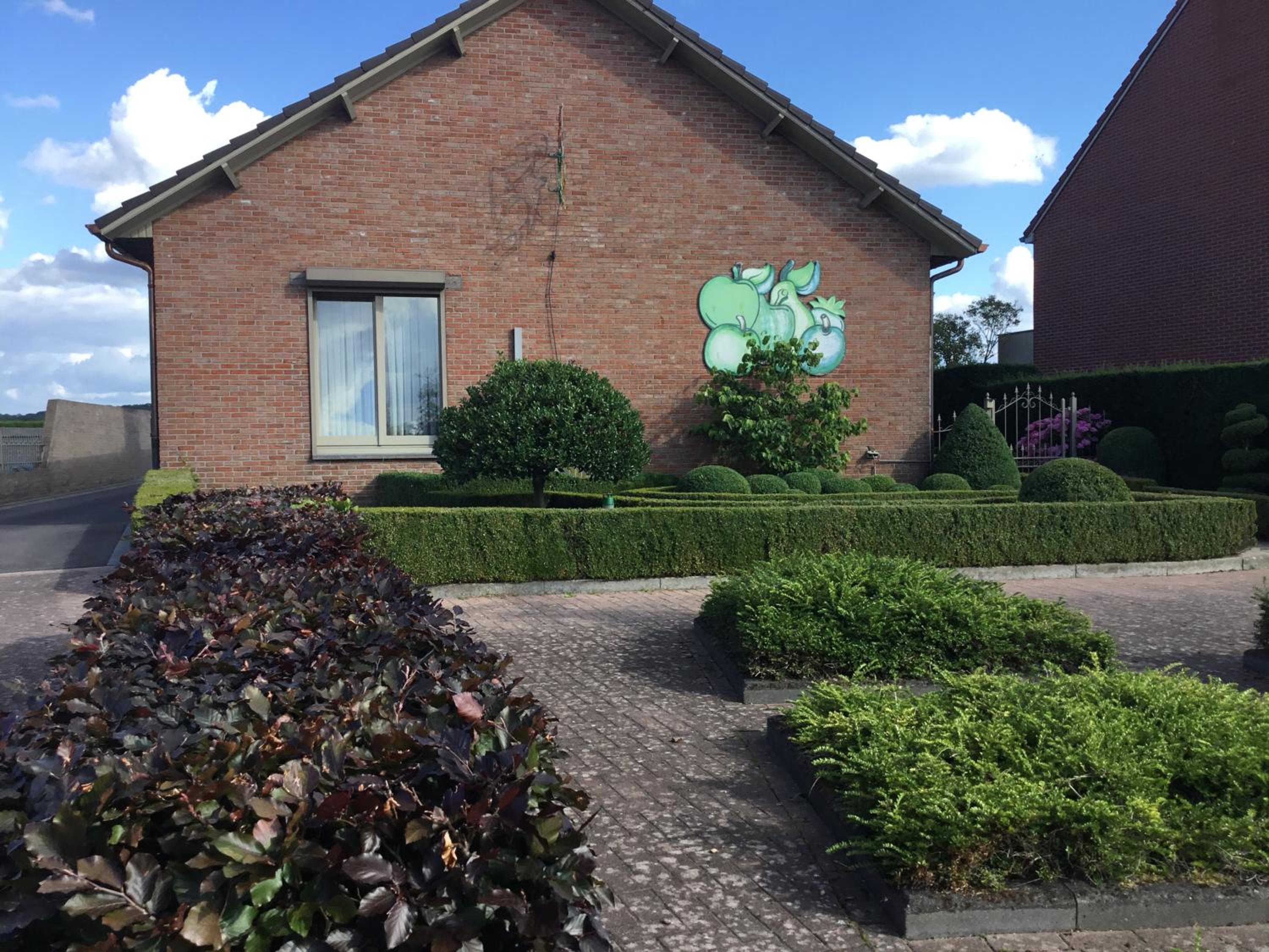 De achtertuin