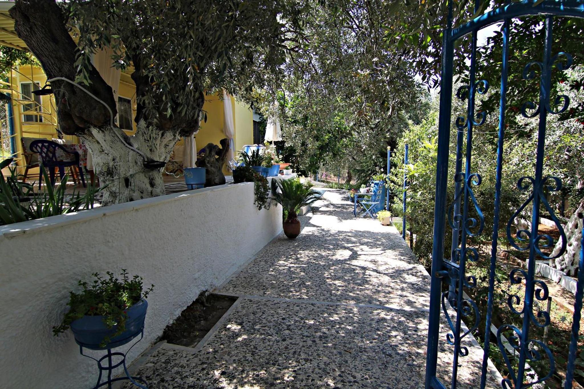 Photo 13