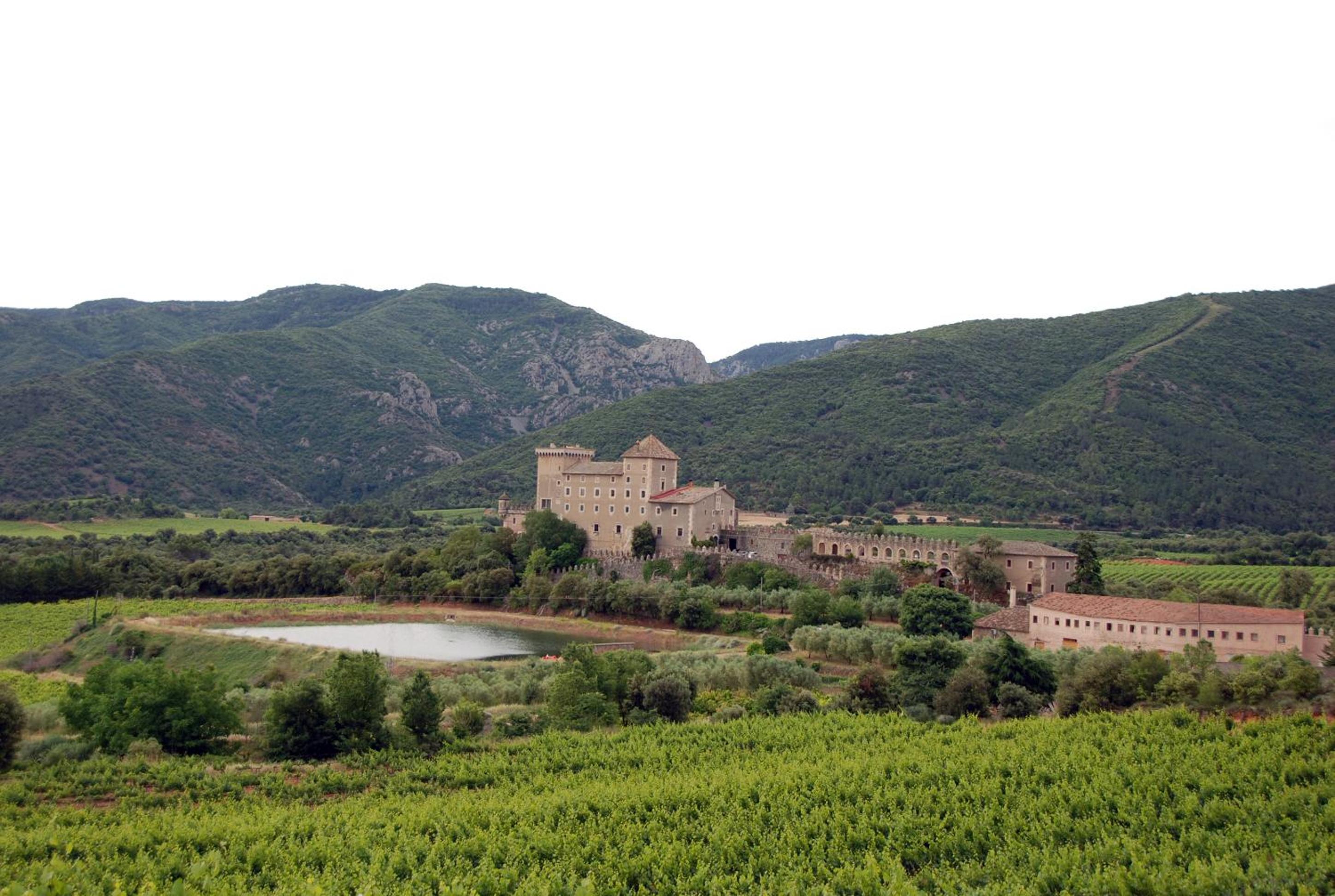 Castell de Riudabella