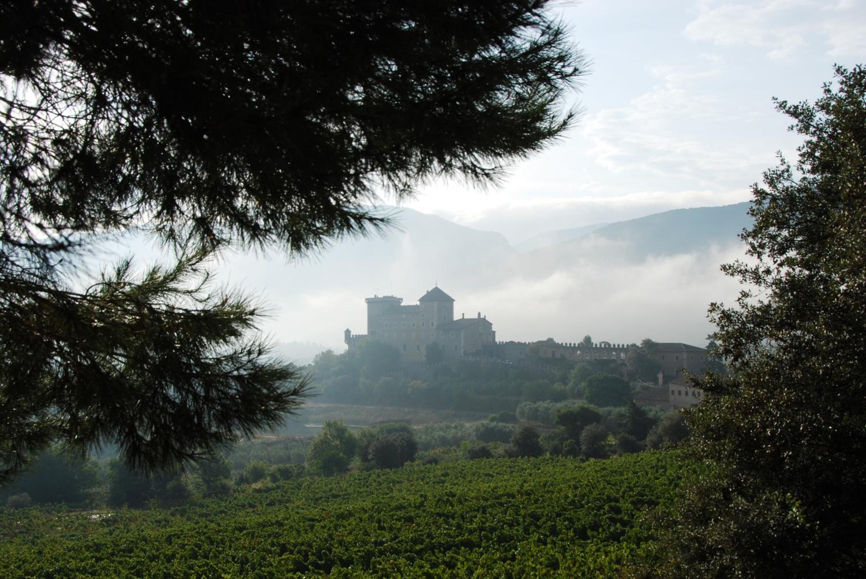 Castell de Riudabella