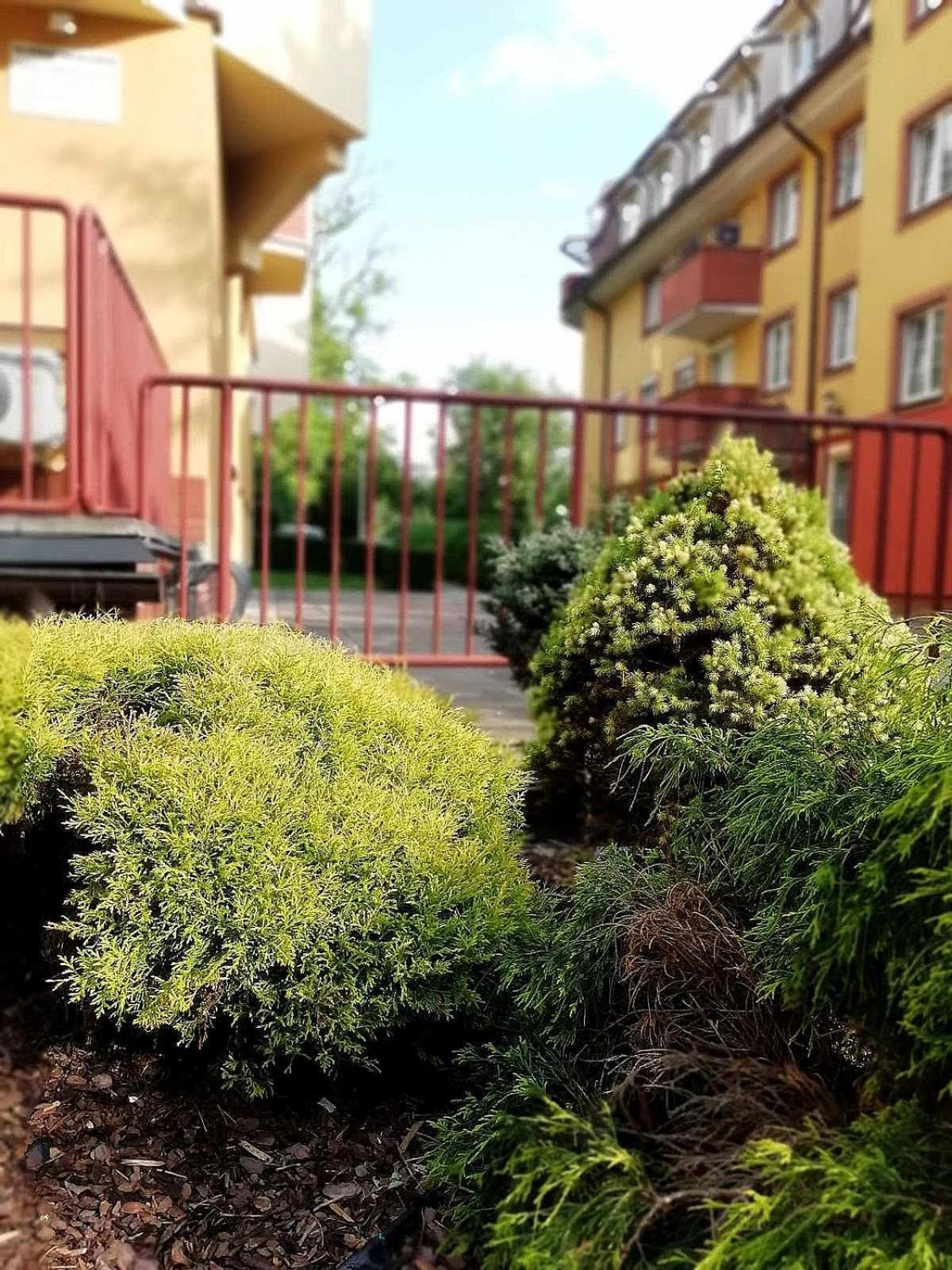 Photo 43