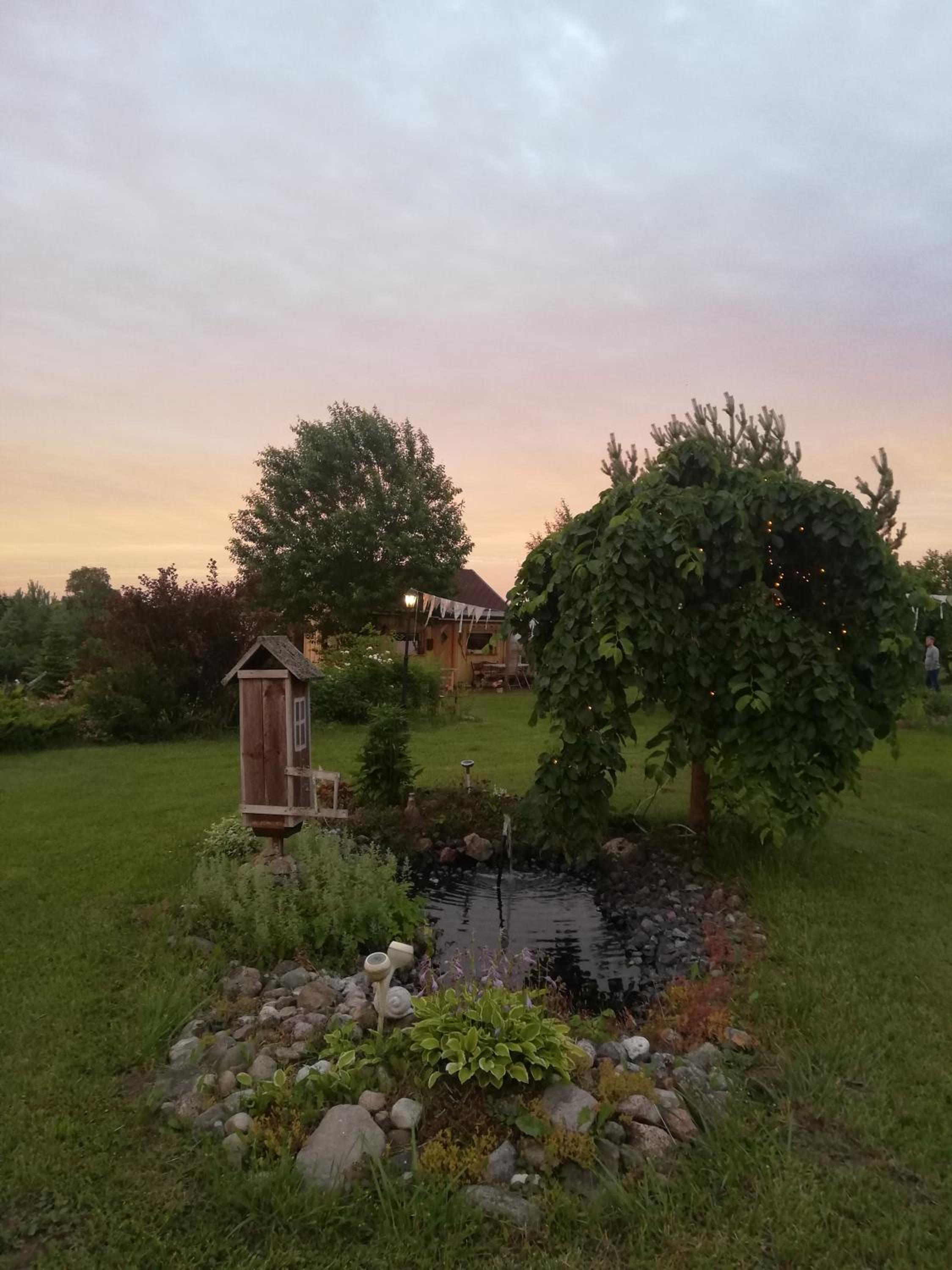 Photo 31