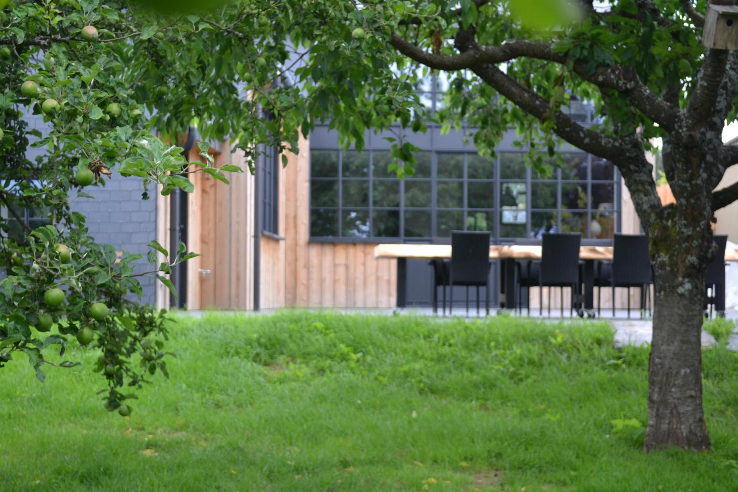 Maison du chien vert