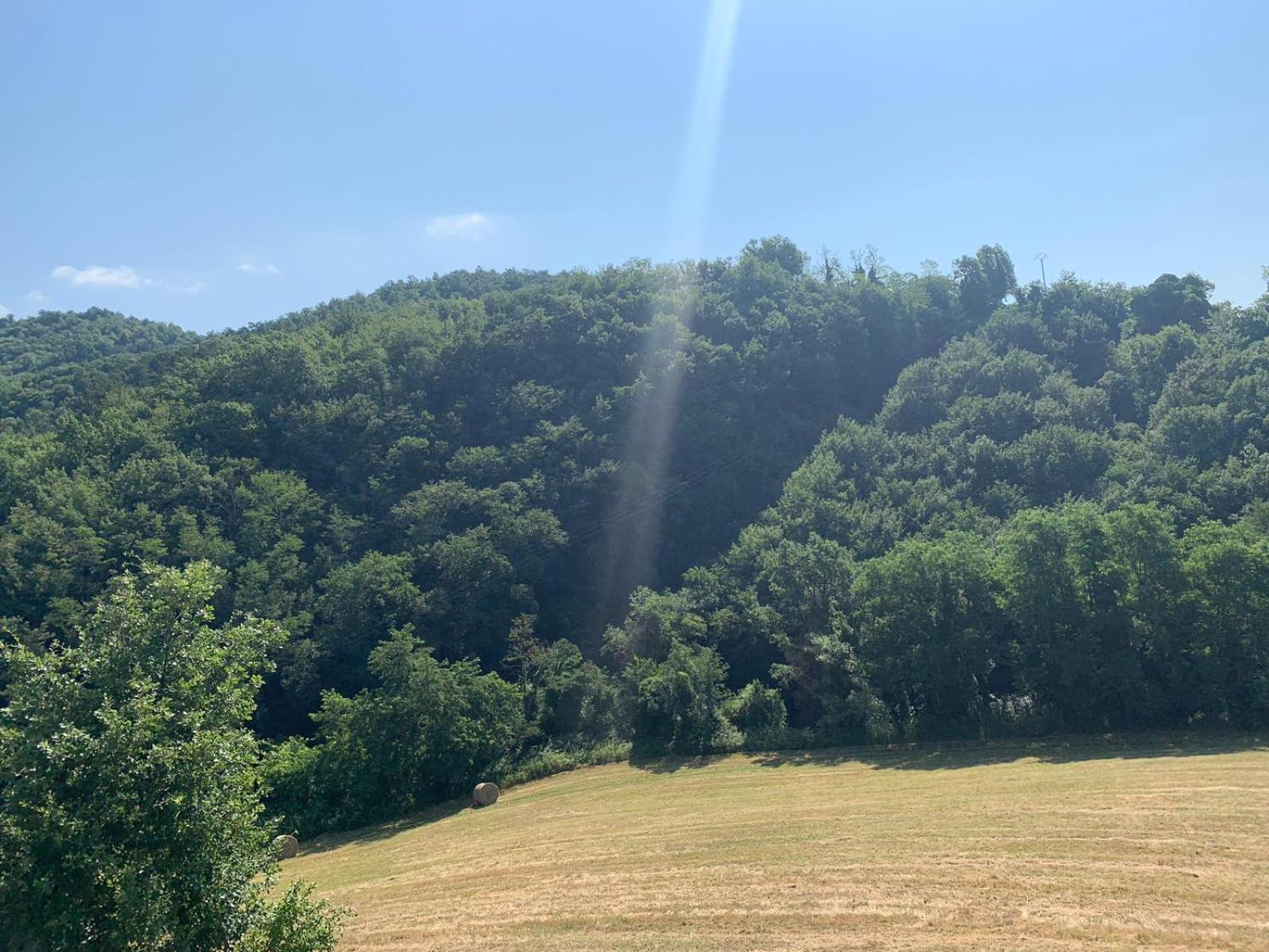 B&B del Mugello view 5