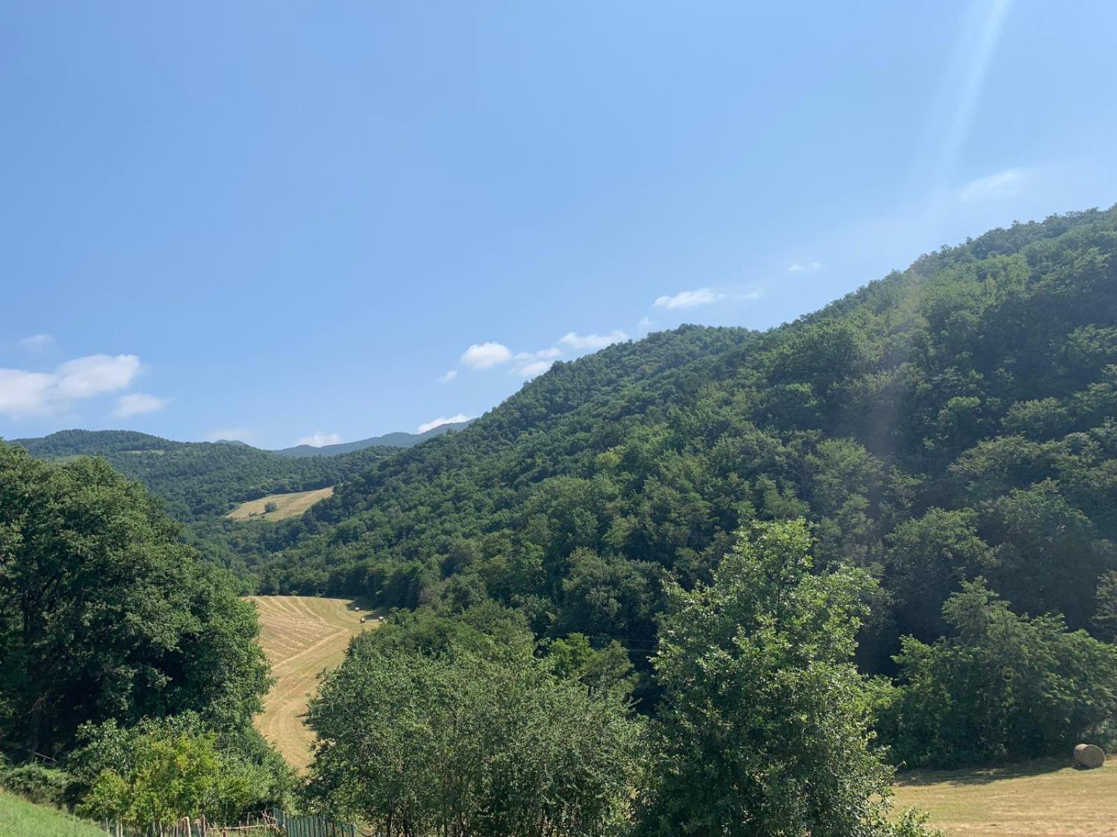 B&B del Mugello view 2