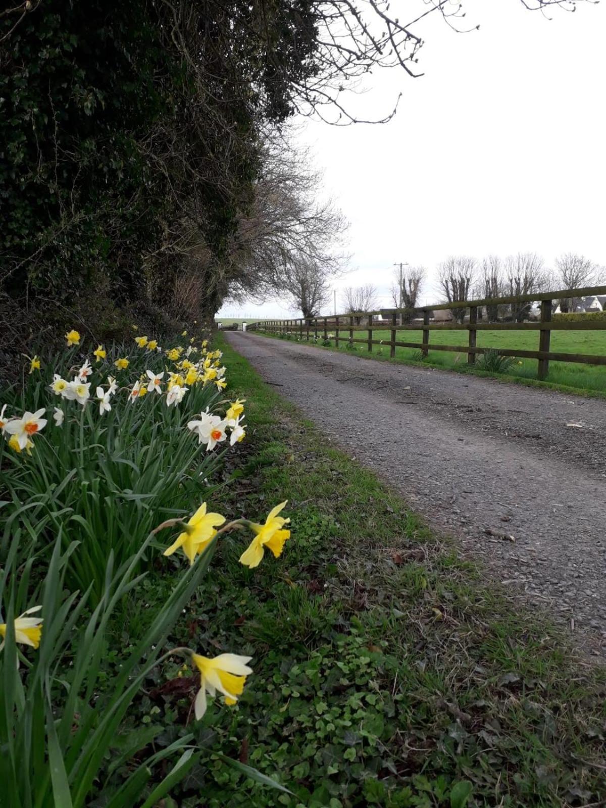 Wellfield Farmhouse view 2