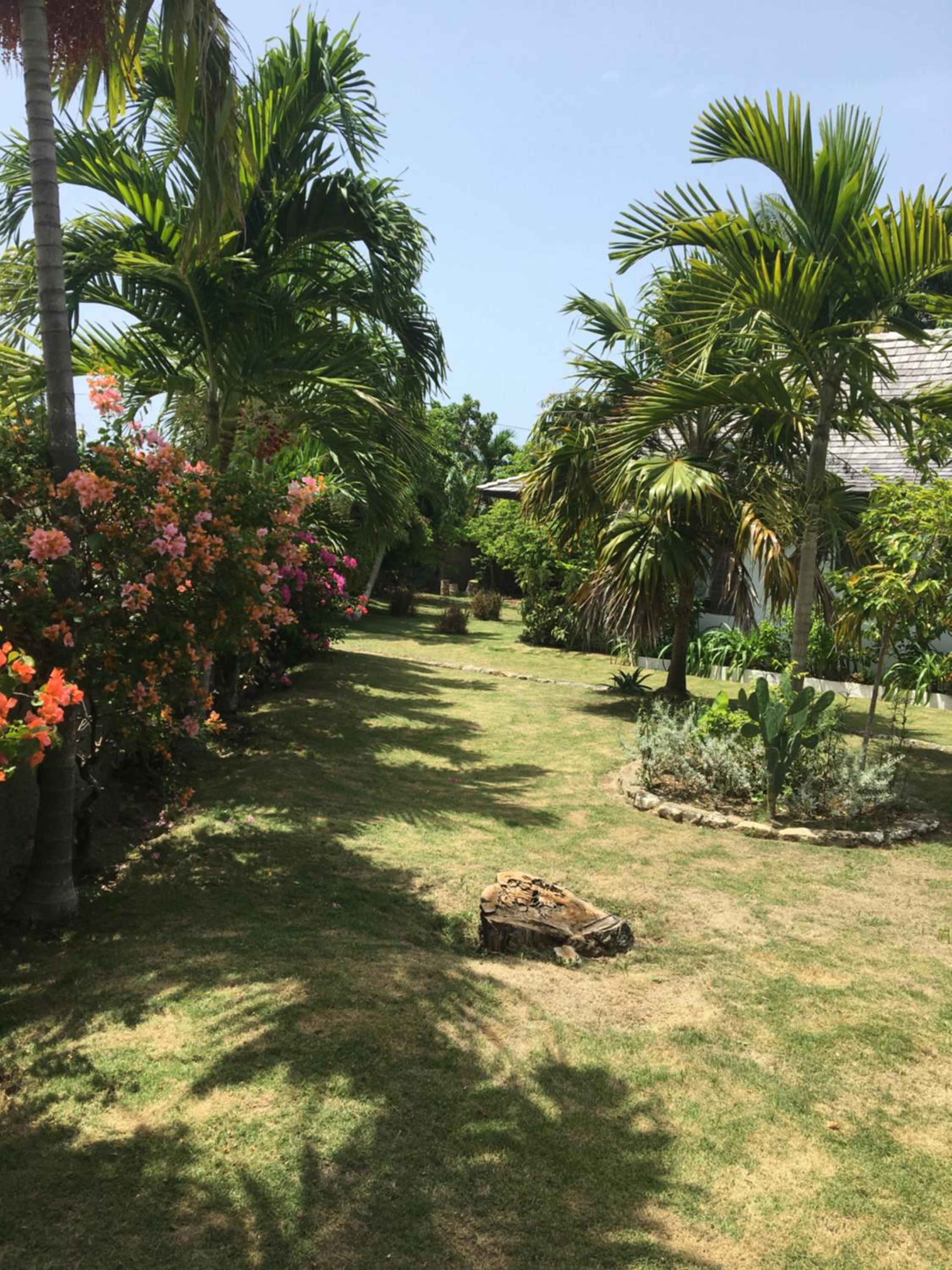 Reef Winds Villa view 3