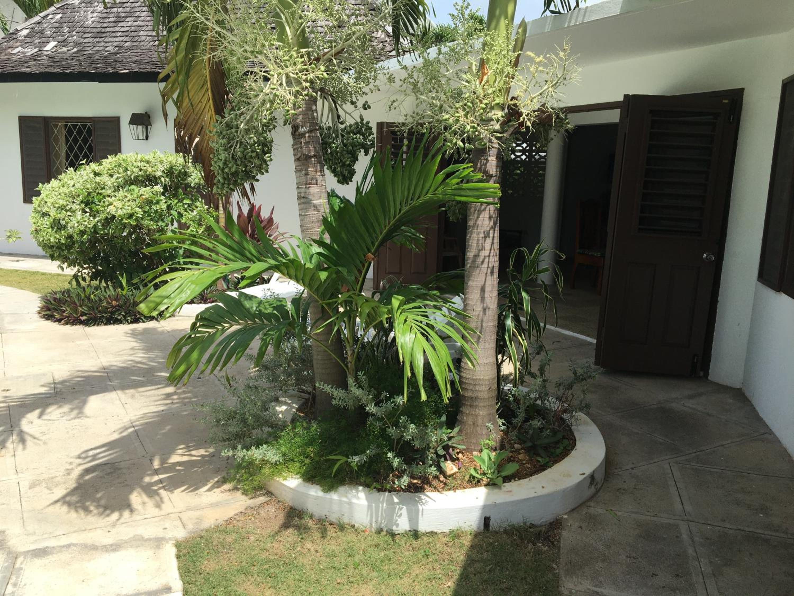 Reef Winds Villa view 2