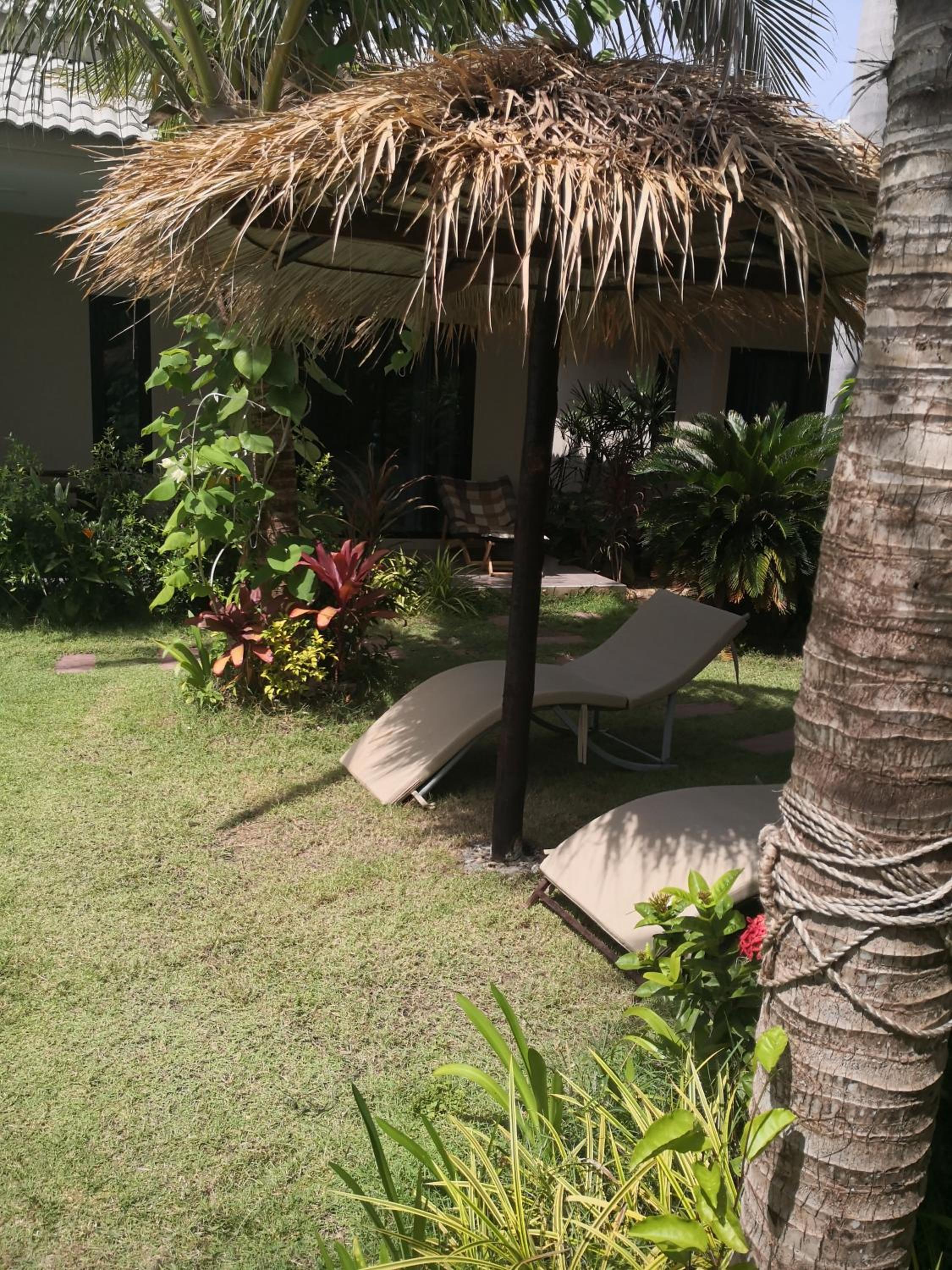 Tropical House​ view 5