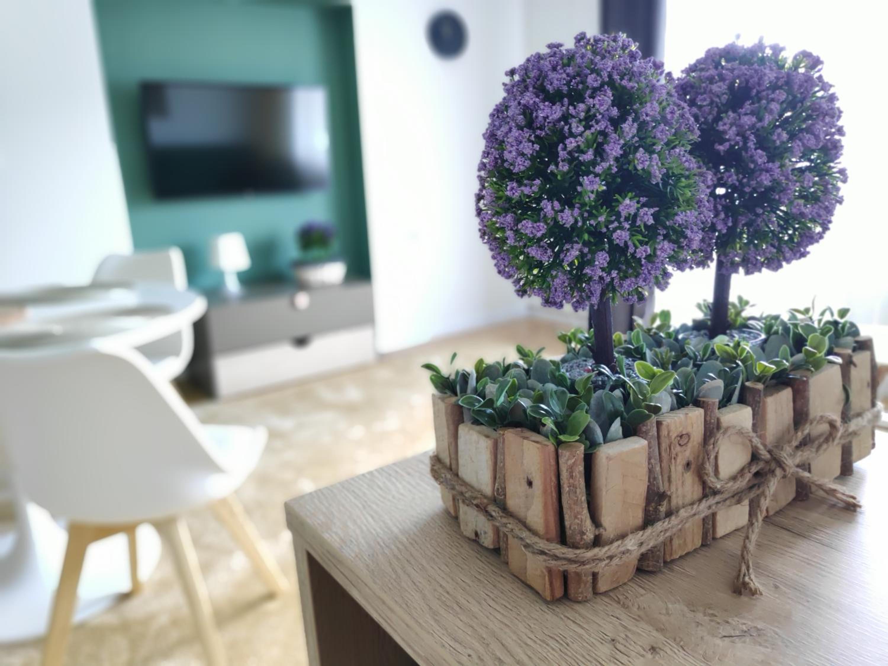 Apartament Karpaty view 2