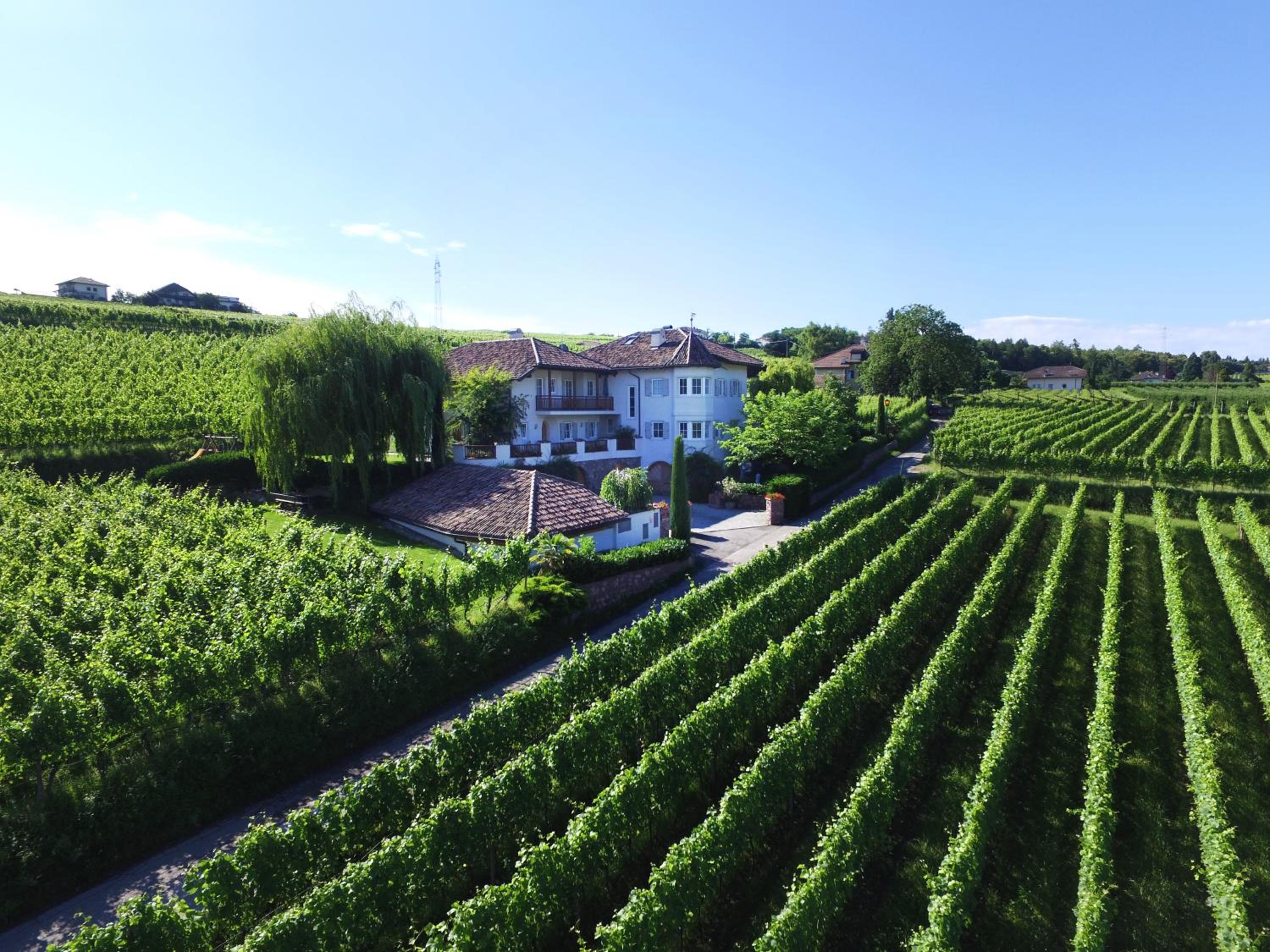 Weinhof Mumelter view 3