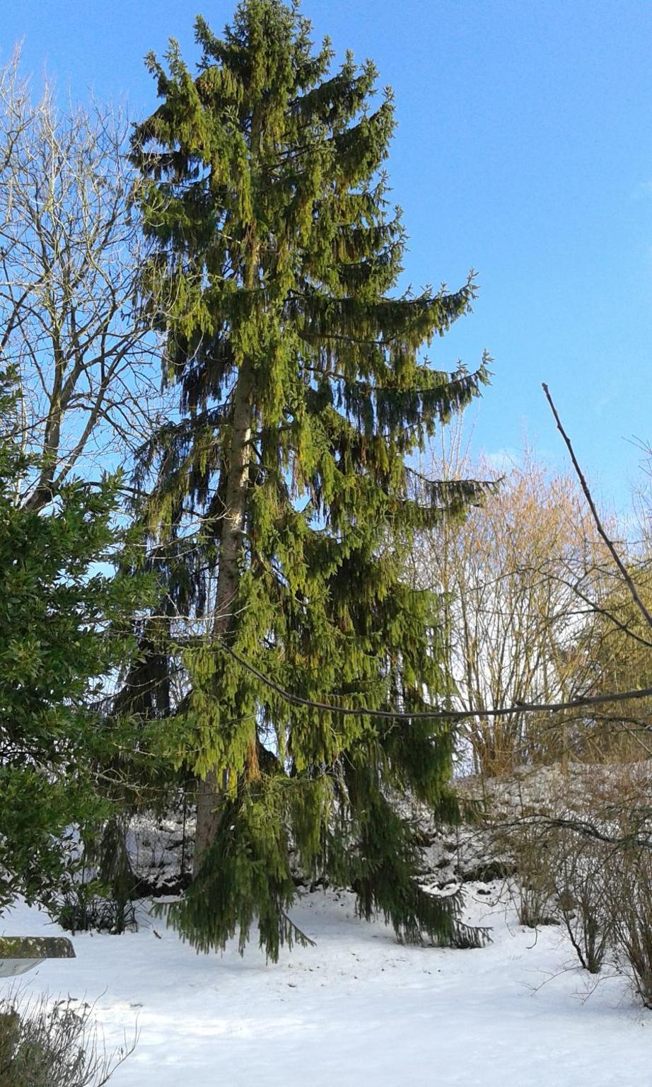 Photo 12
