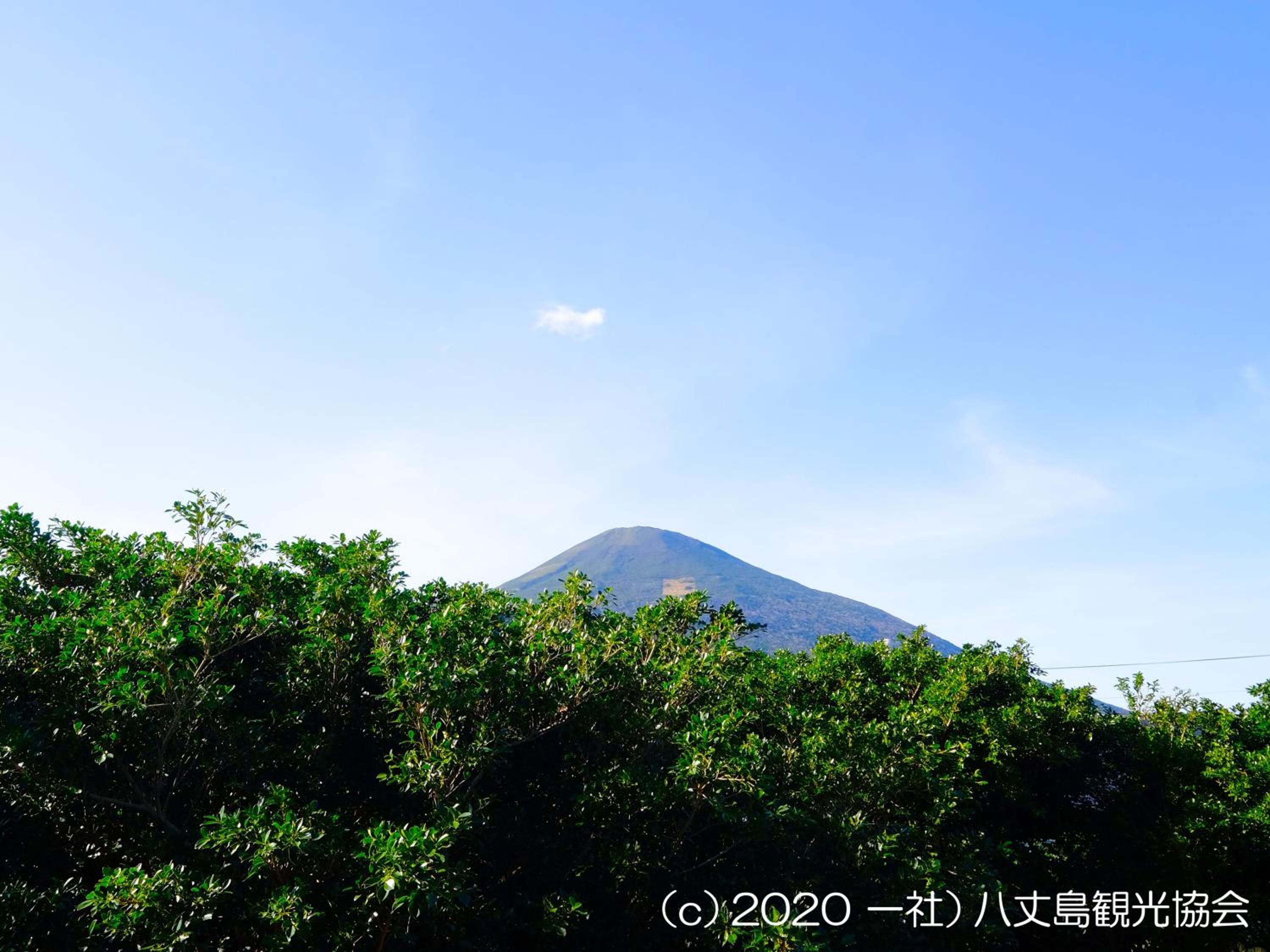 Photo 43