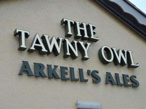 The Tawny Owl — 10