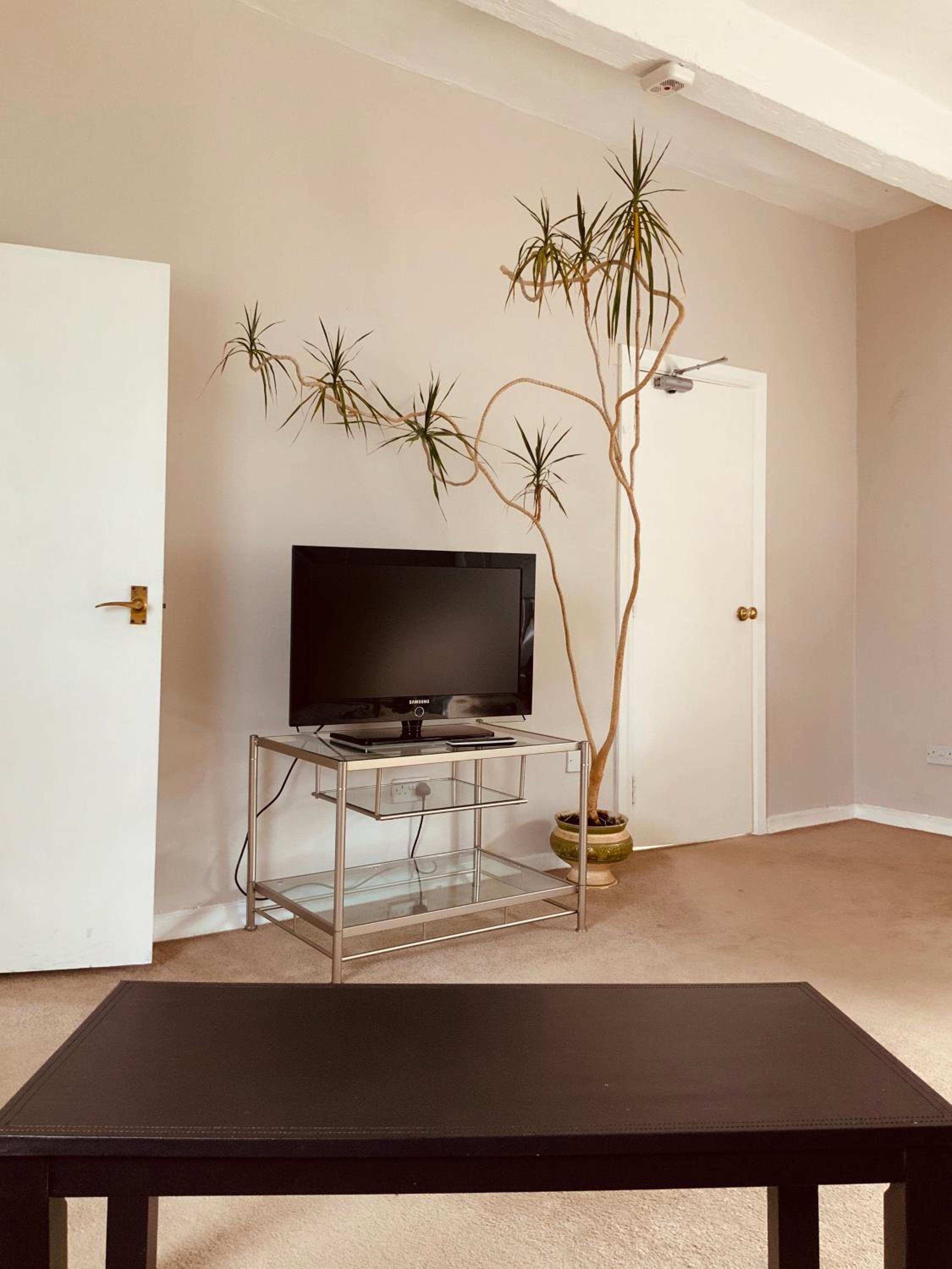 The Stables Apartment view 4