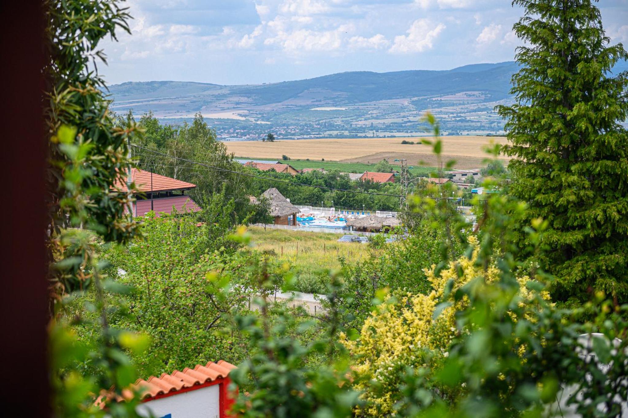 Medi Guest House