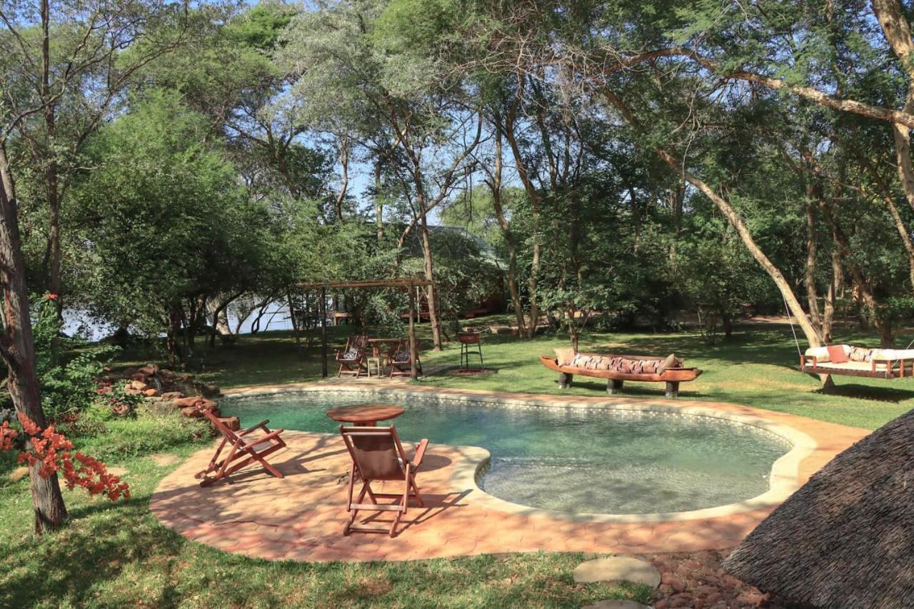 Mama Out of Africa view 3