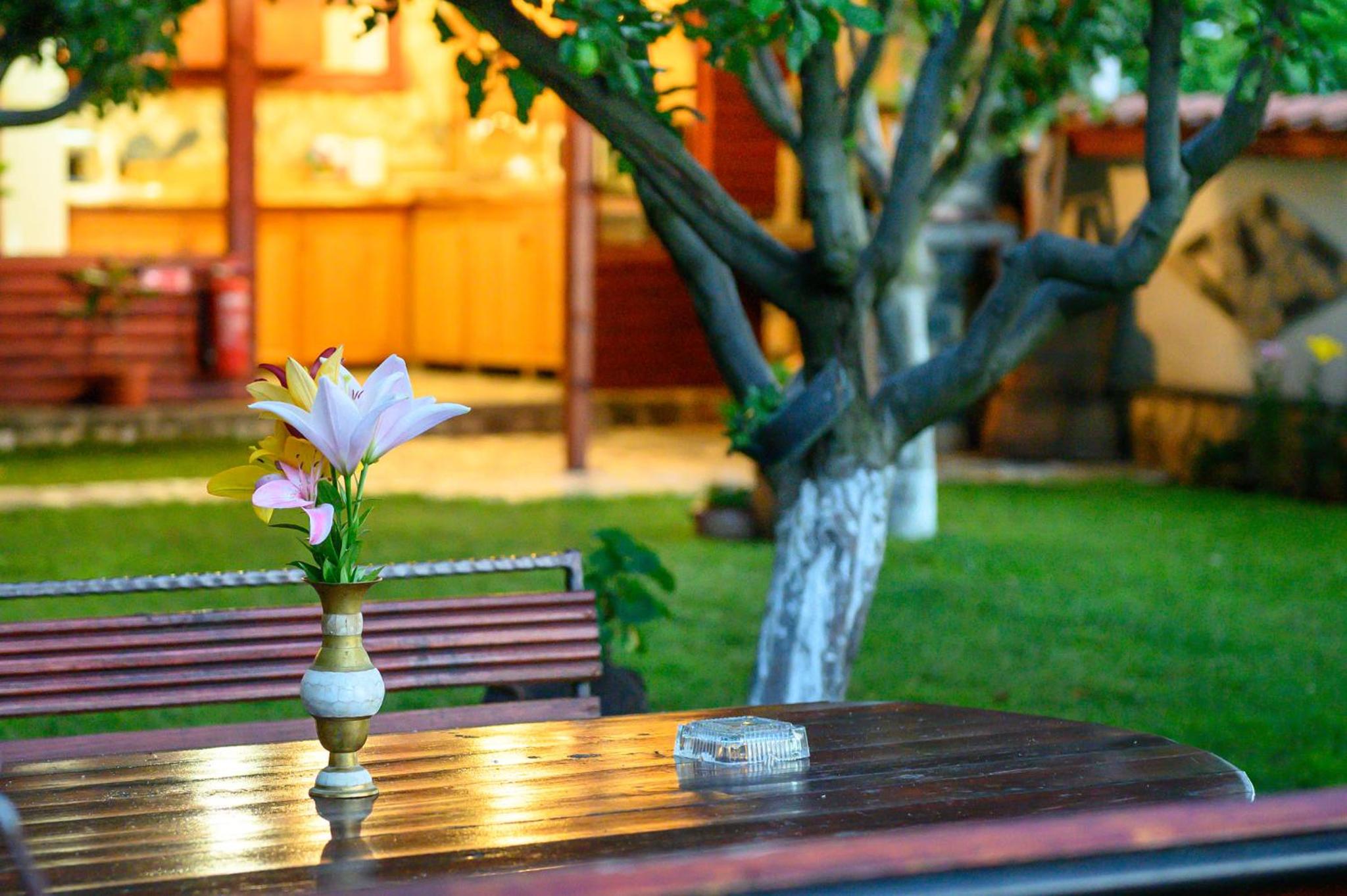 Medi Guest House