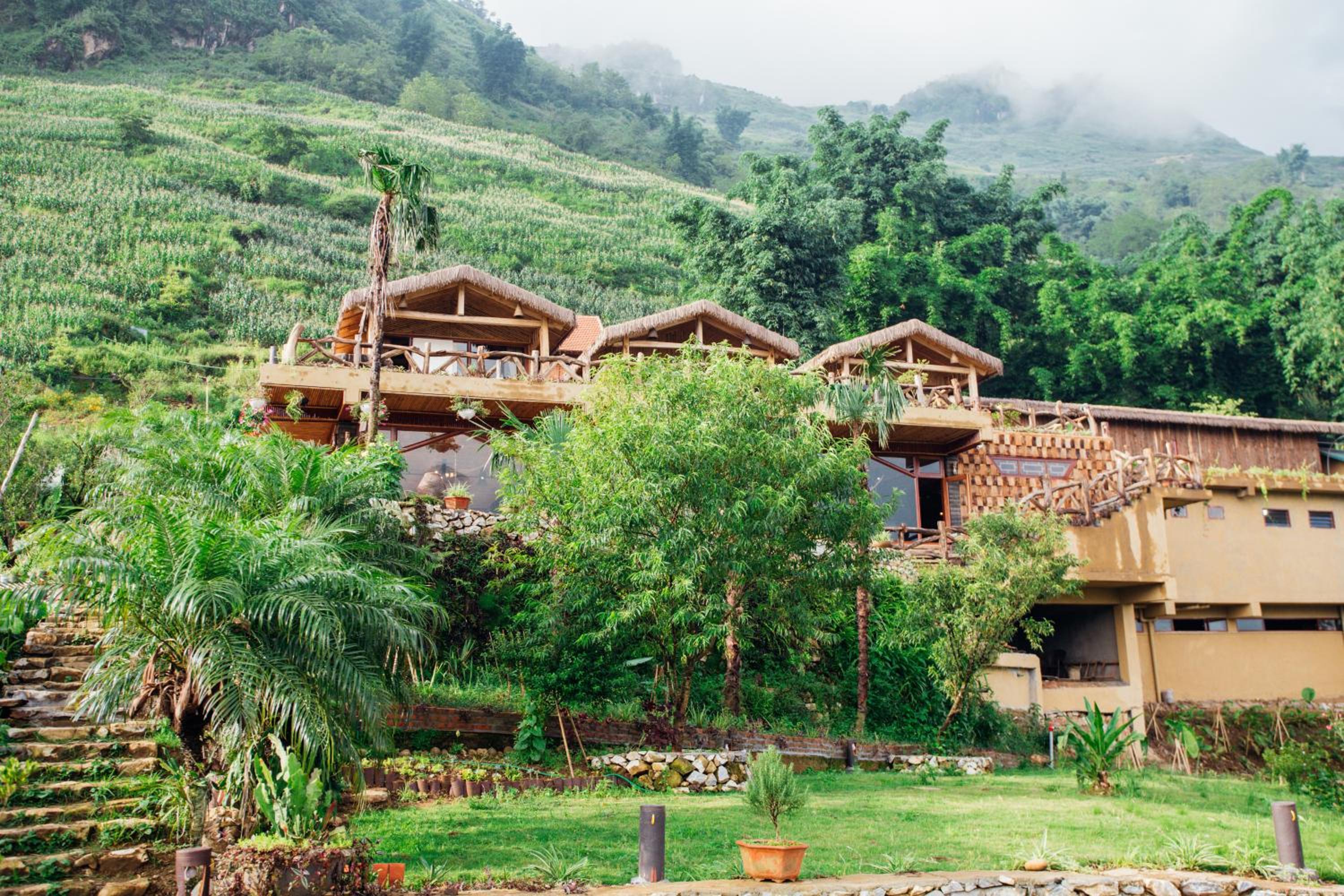 Eco Palms House - Sapa Retreat