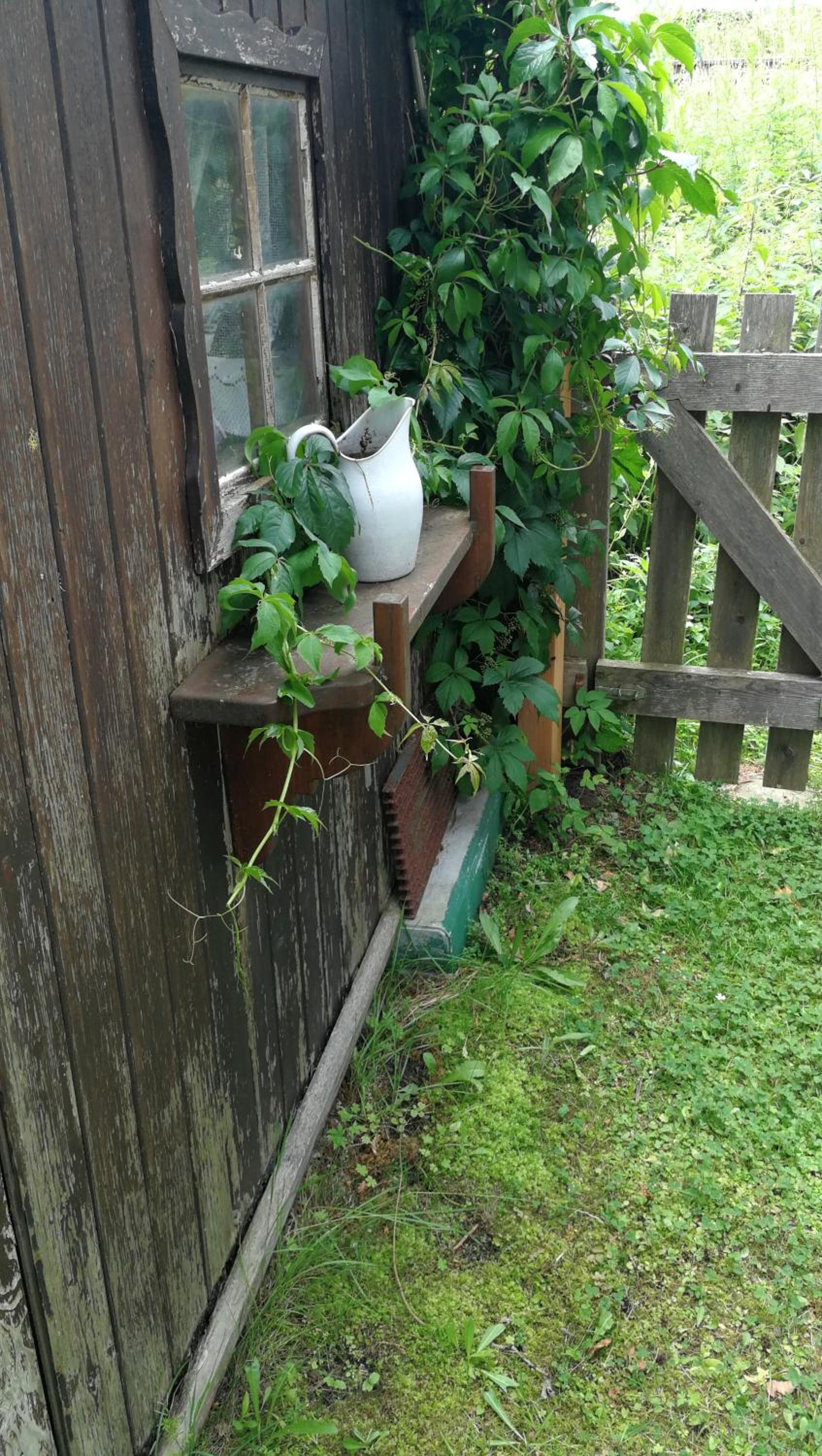 Rosis Cottage