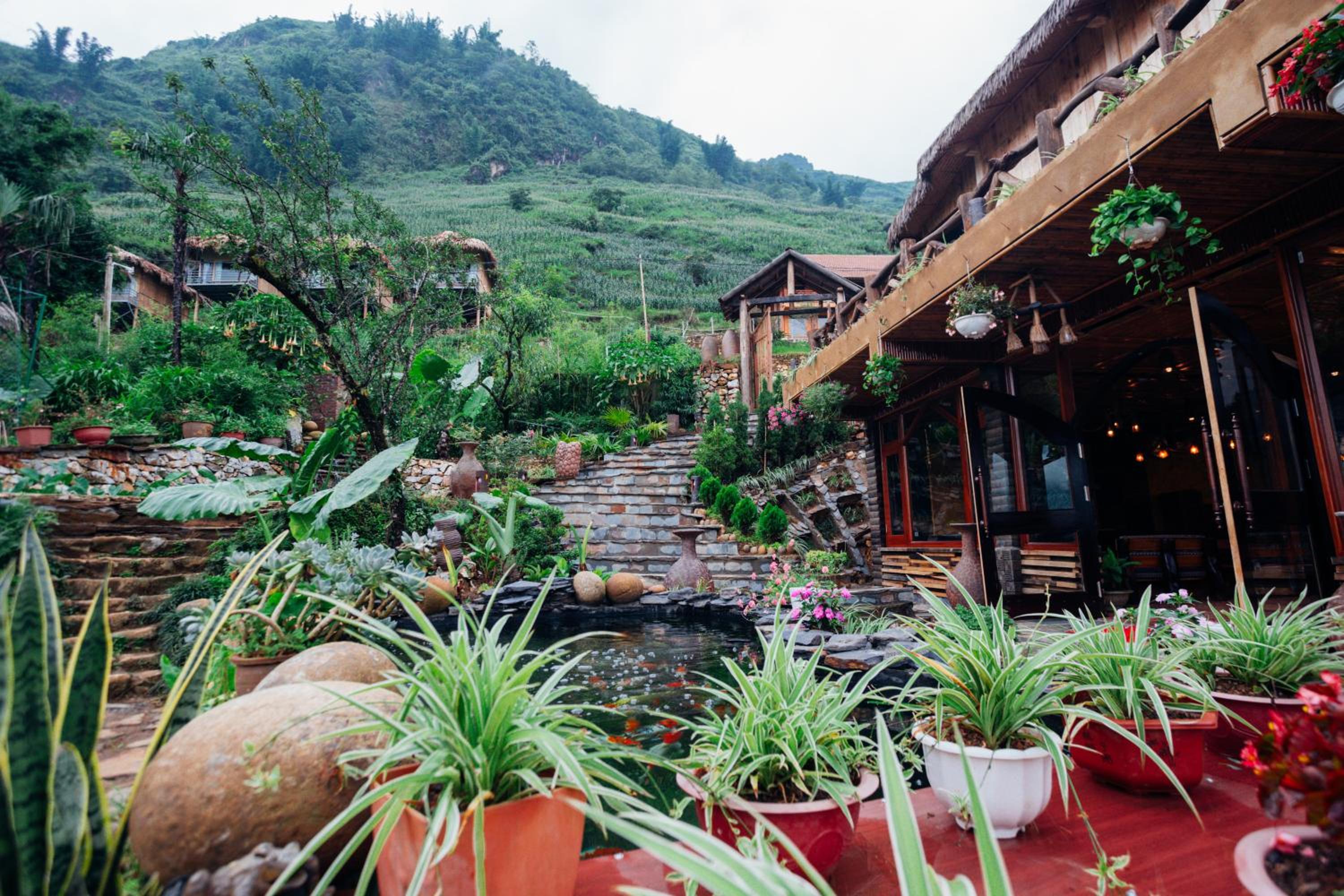 Eco Palms House - Sapa Retreat