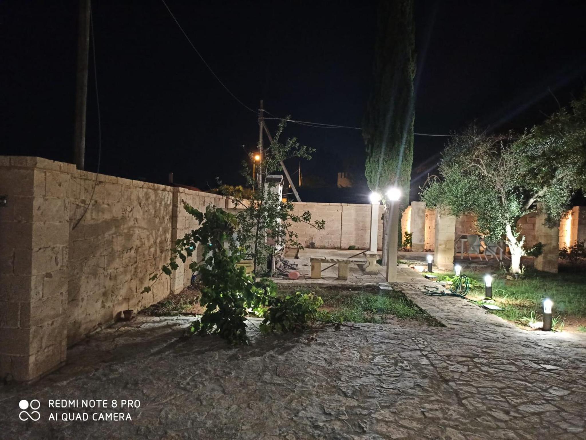 Photo 44