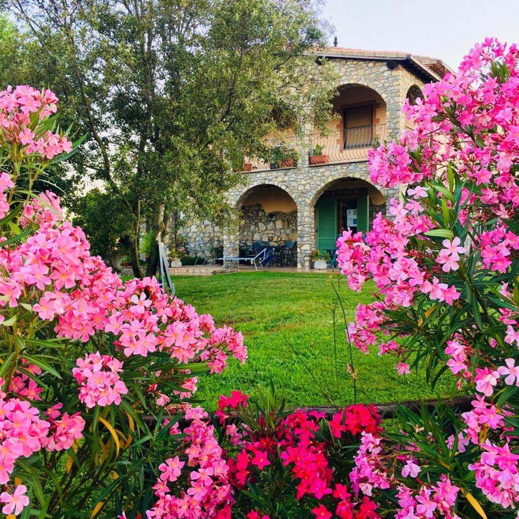 Agriturismo Barbicate view 4