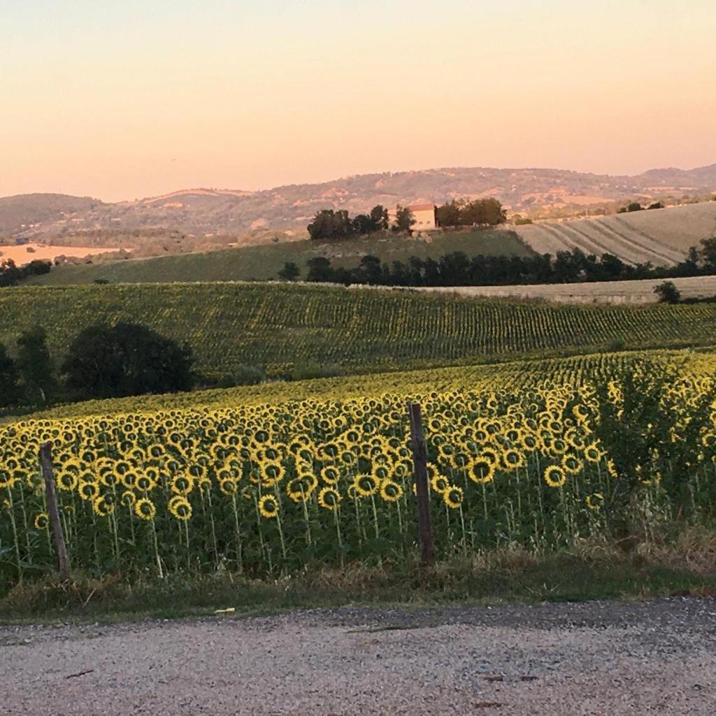 Agriturismo Barbicate view 3