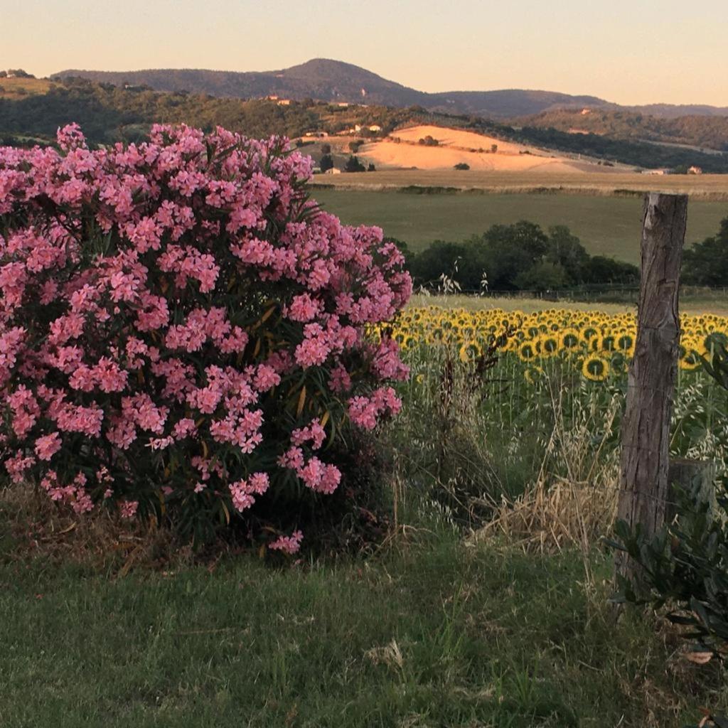 Agriturismo Barbicate view 2