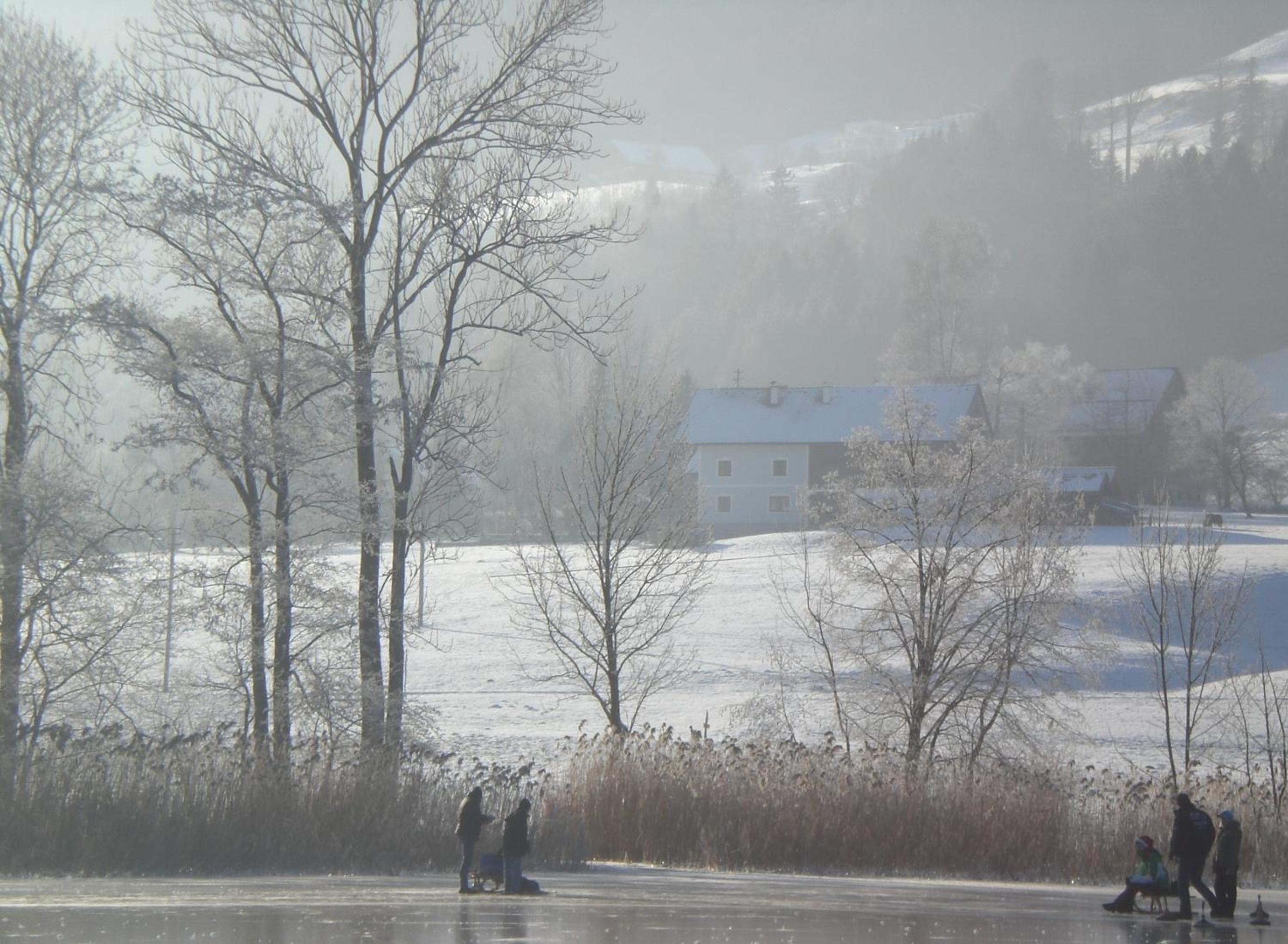 Bauernhof Schink