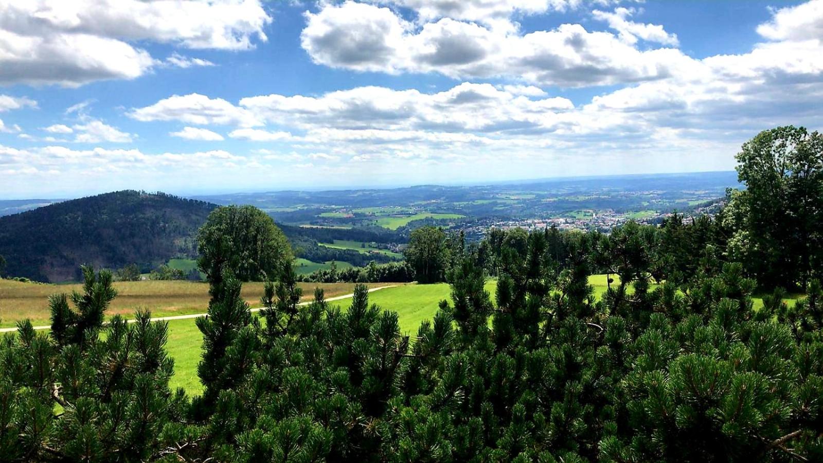 Landgasthof Zum Kirchenwirt