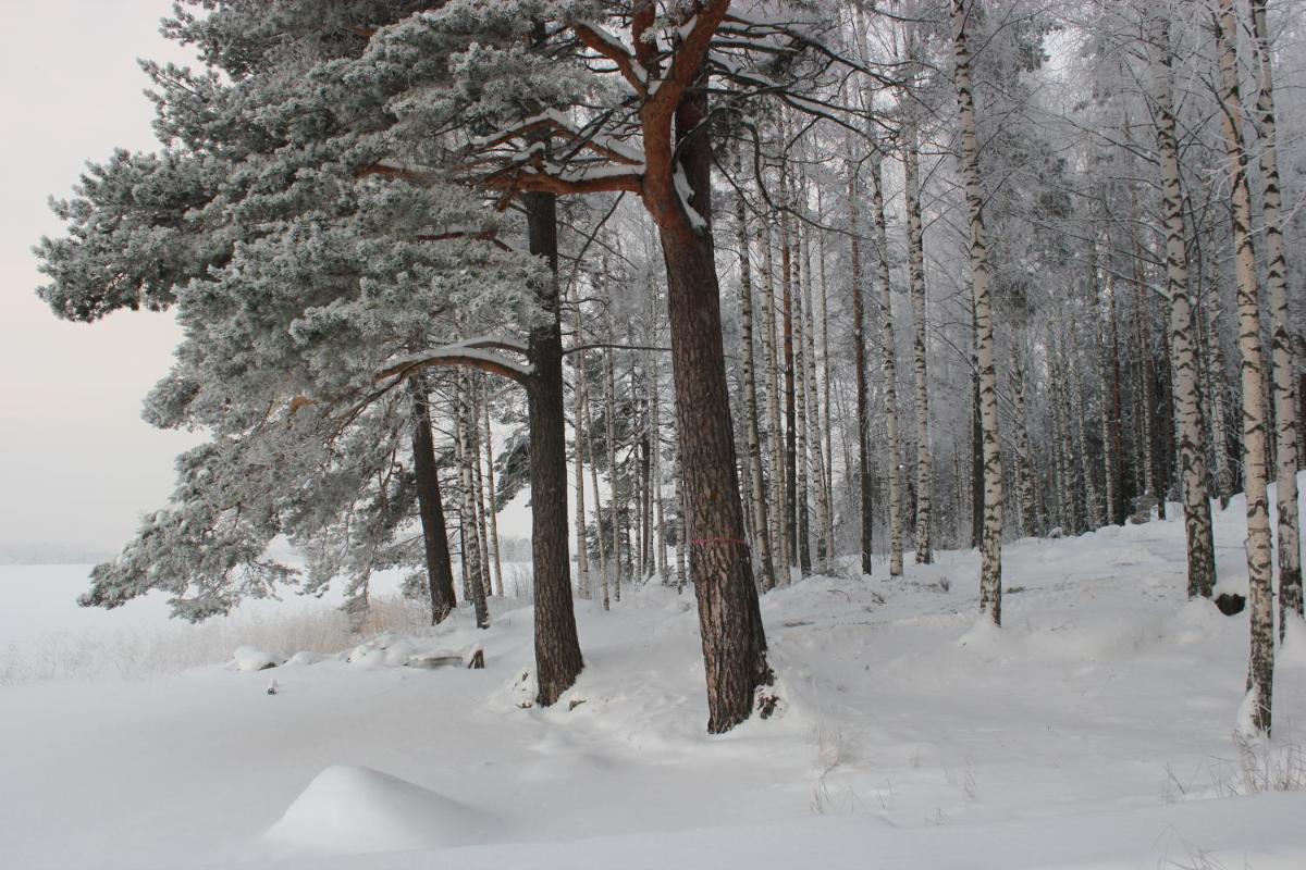 Photo 22