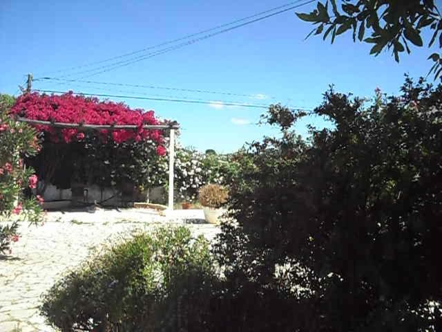Monte dos Sabores view 2