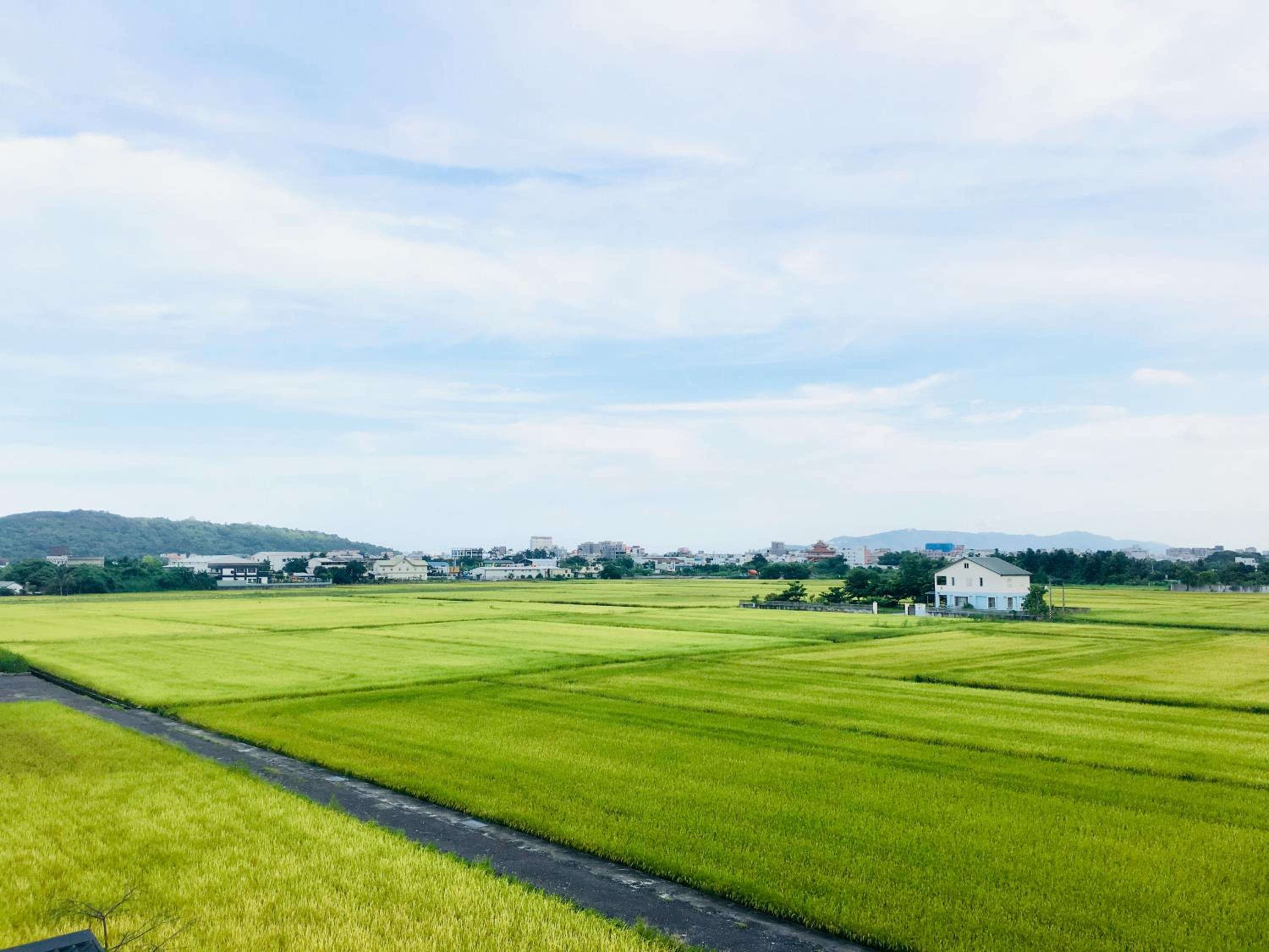 TIN-TIN's HOME 庭庭豐旅舍 view 5