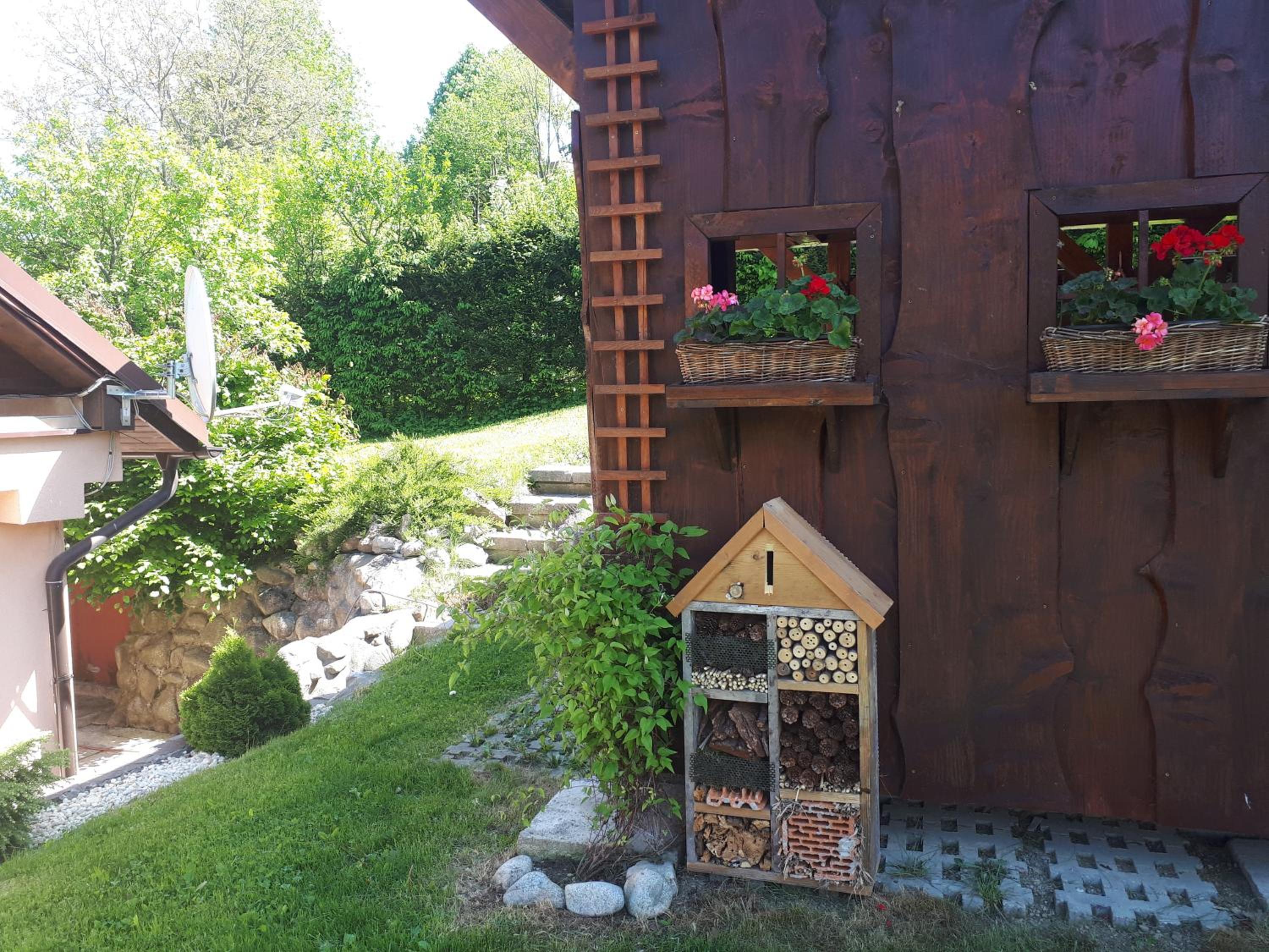 Photo 6