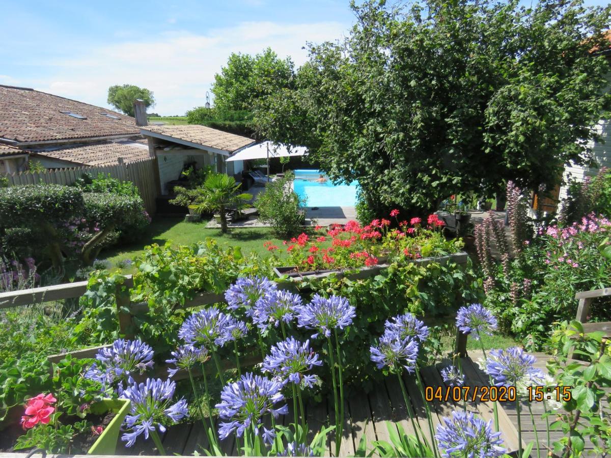 Les Arums de Fondeminjean