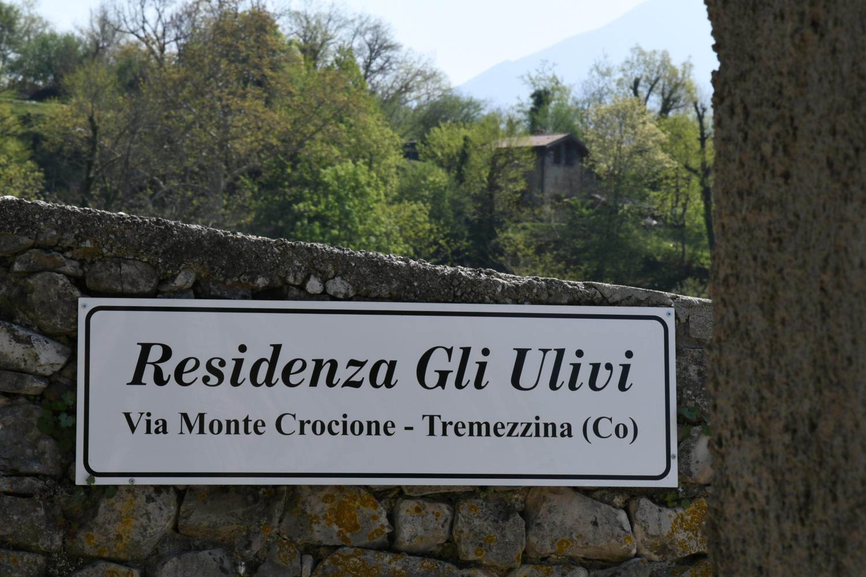 Apartments Gli Ulivi in Tremezzina view 3