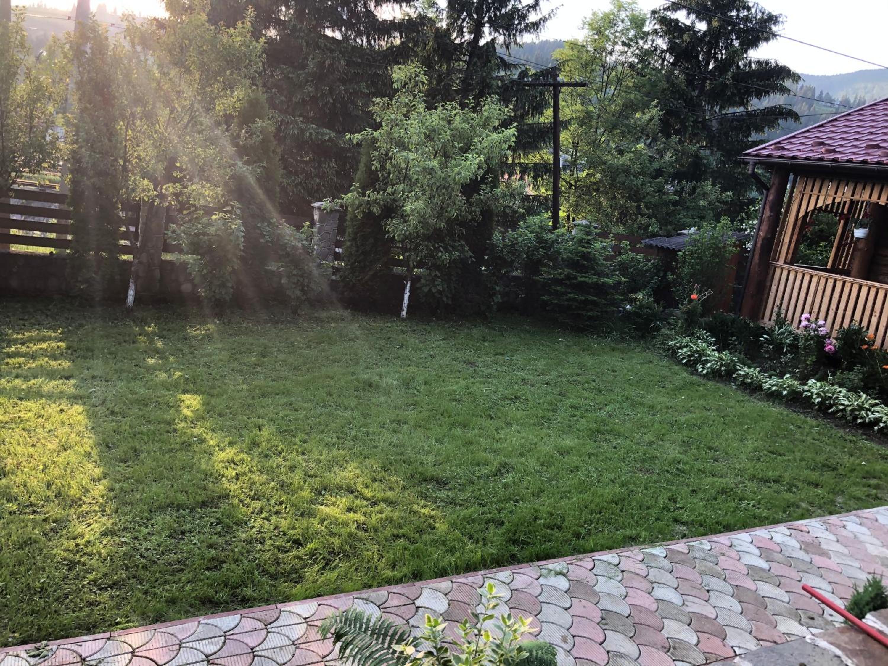 Photo 29