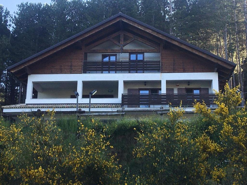 Tra il bosco e il lago view 3