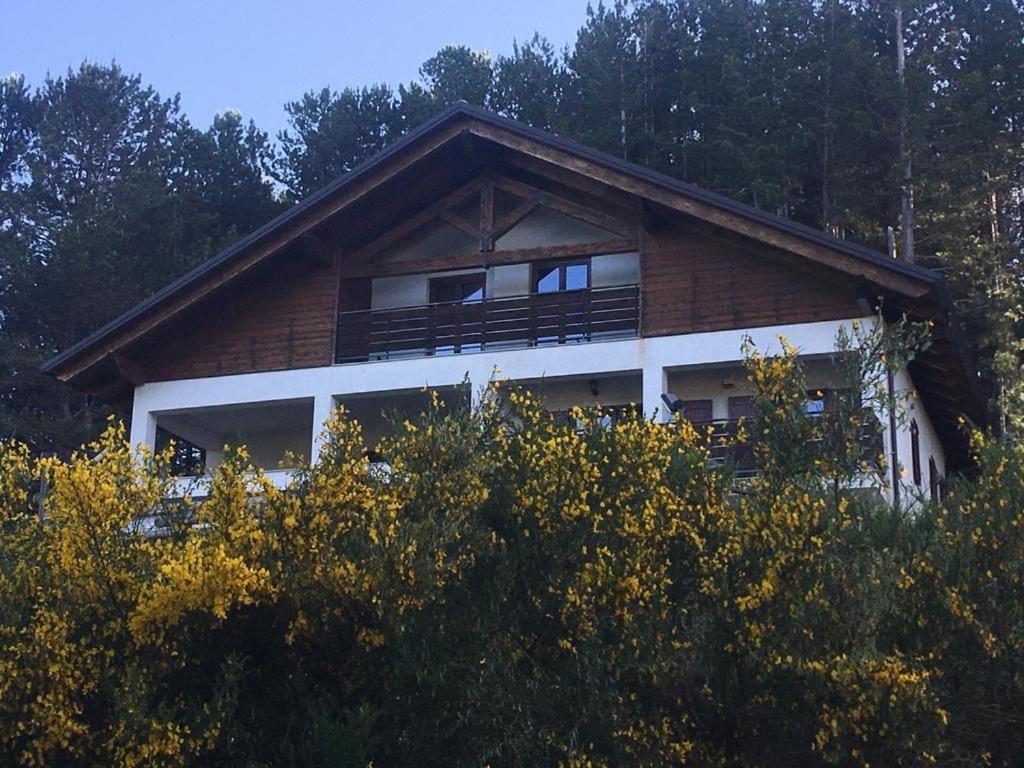 Tra il bosco e il lago view 4