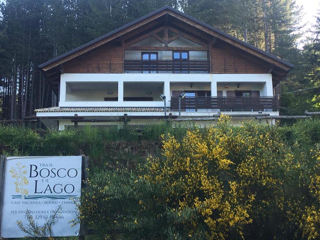 Tra il bosco e il lago view 5