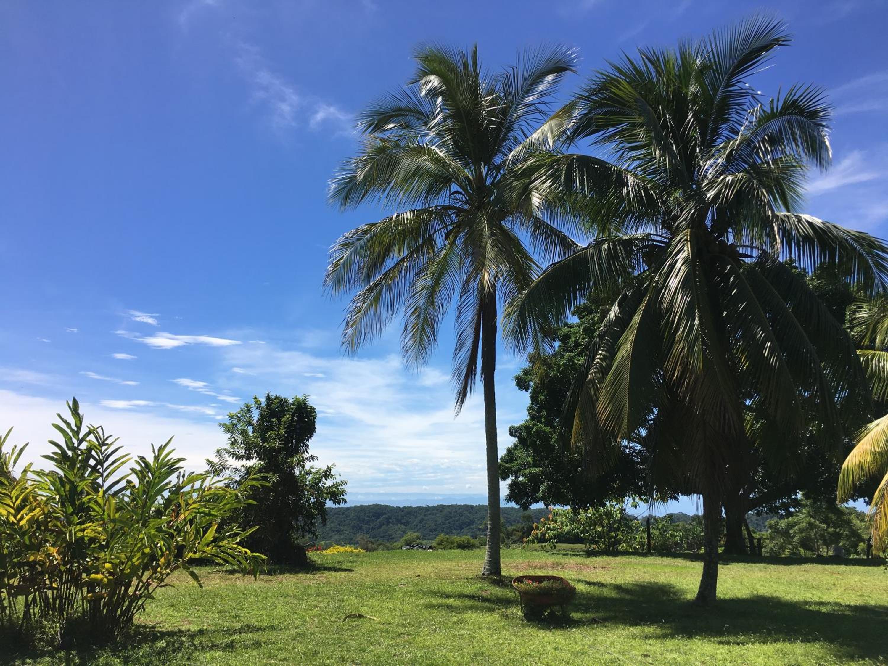 Finca en Doradal ( Hacienda Napoles y Rio Claro )