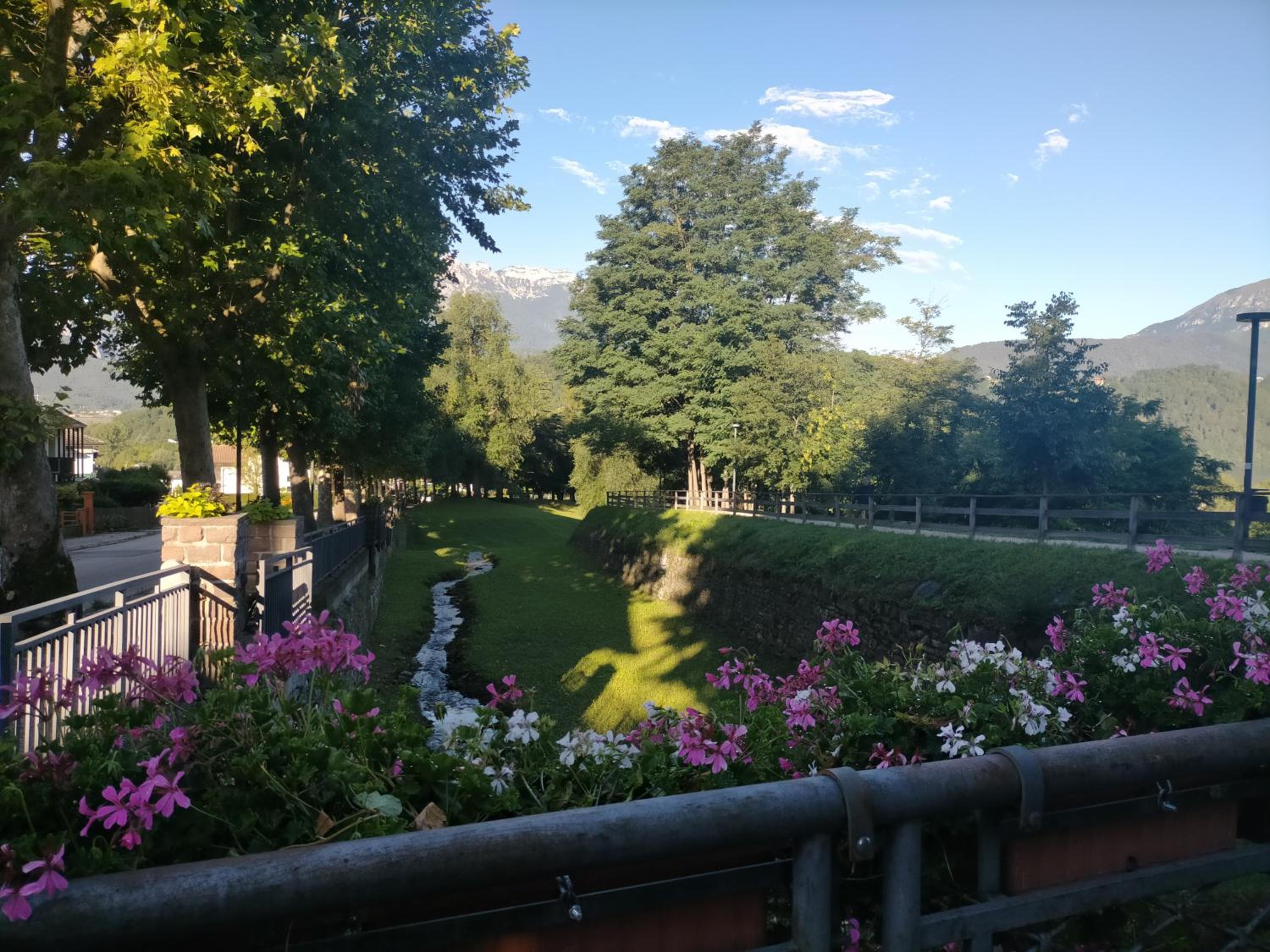 Photo 38