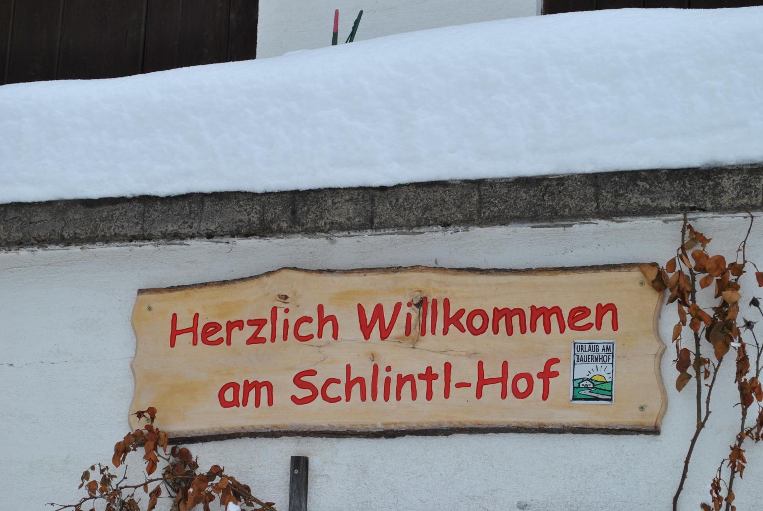 Schlintl-Hof