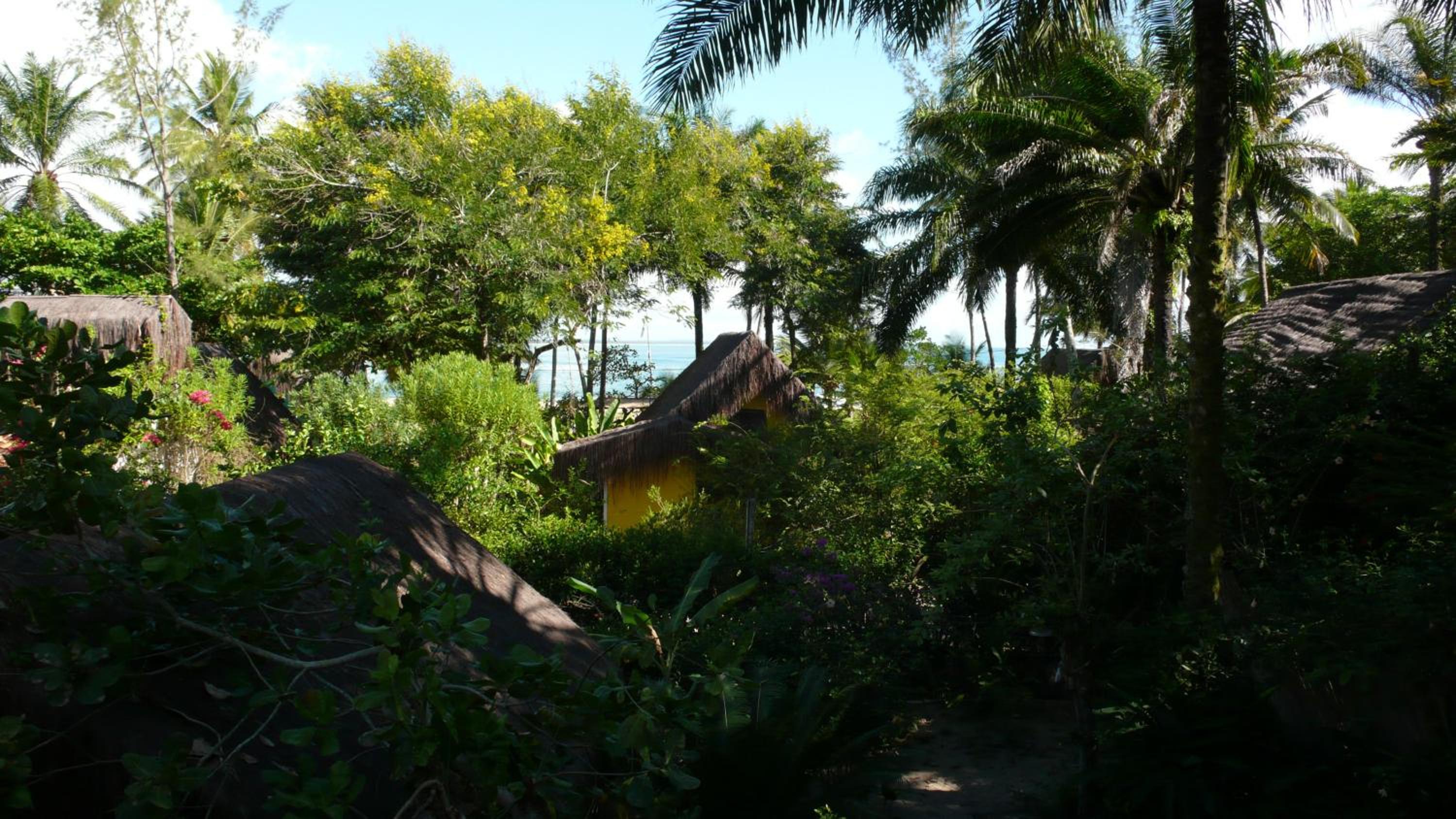 Photo 38