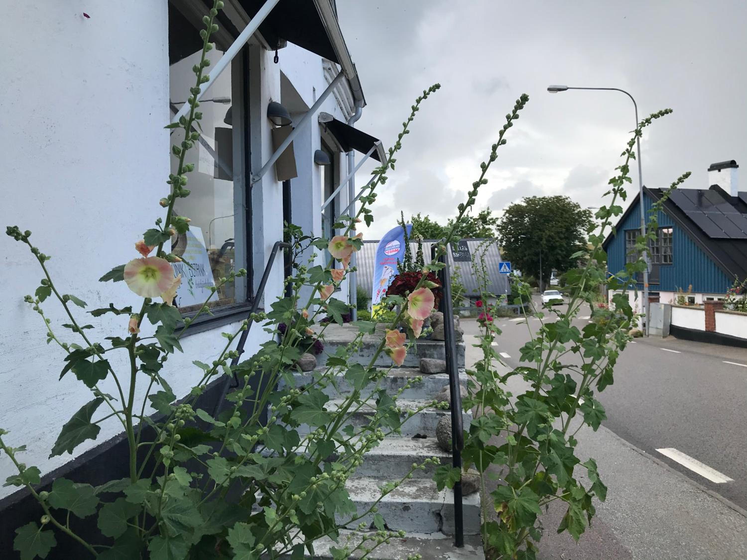 Botanikerns hus view 4