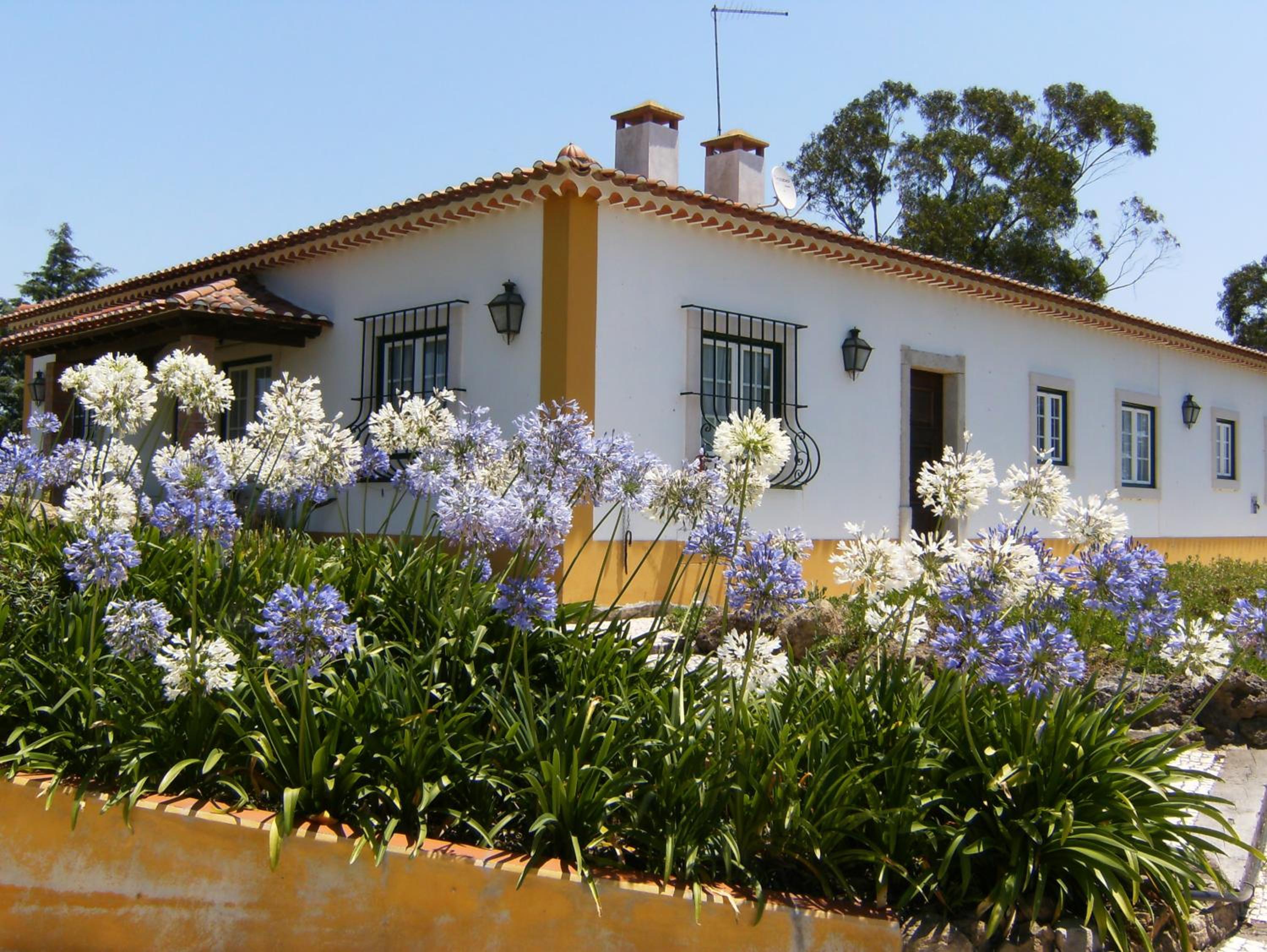 Hotel Quinta Da Torre - Óbidos Country House - Image 1
